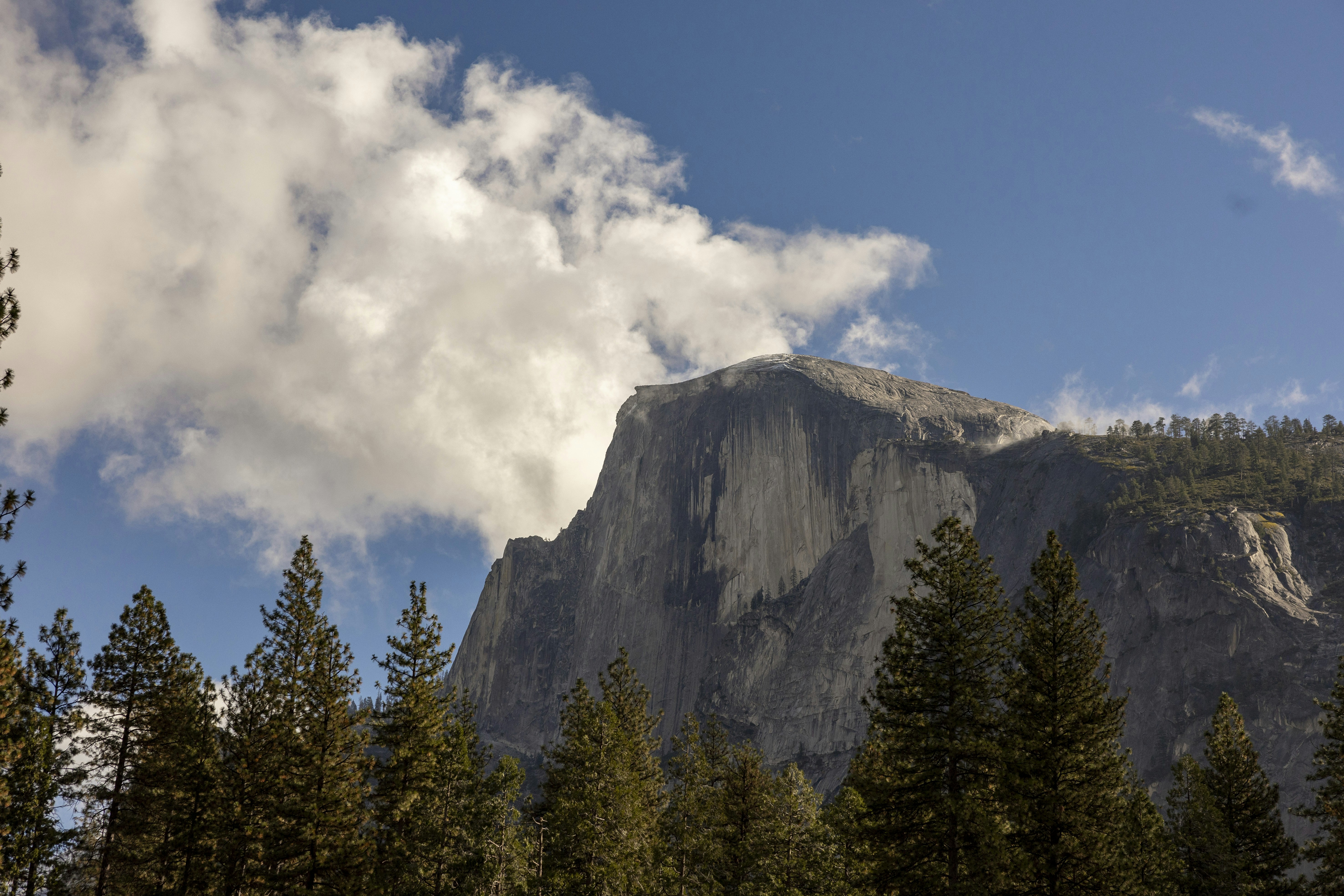 Photo by leo_visions_