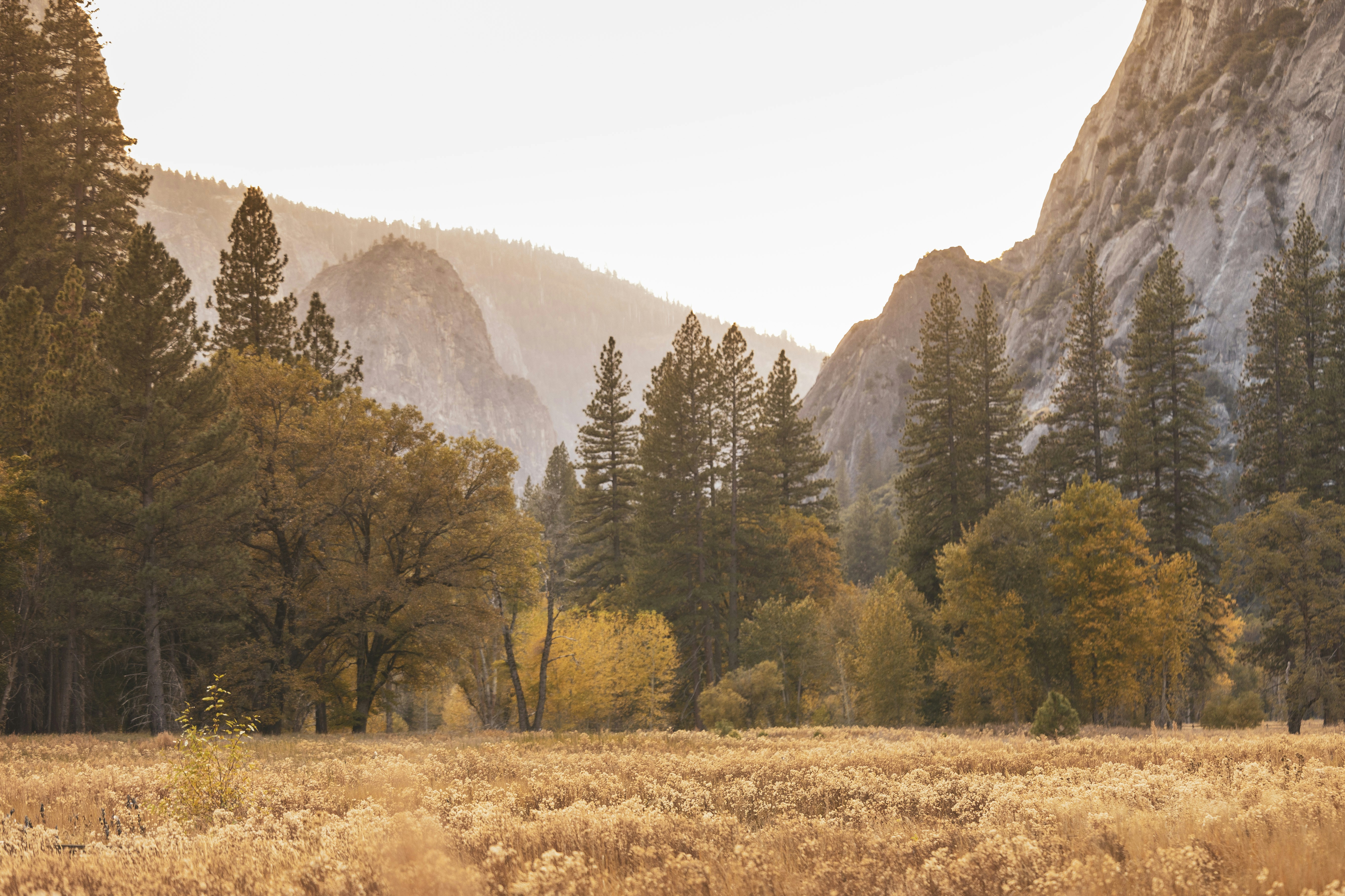 Photo by leo_visions_