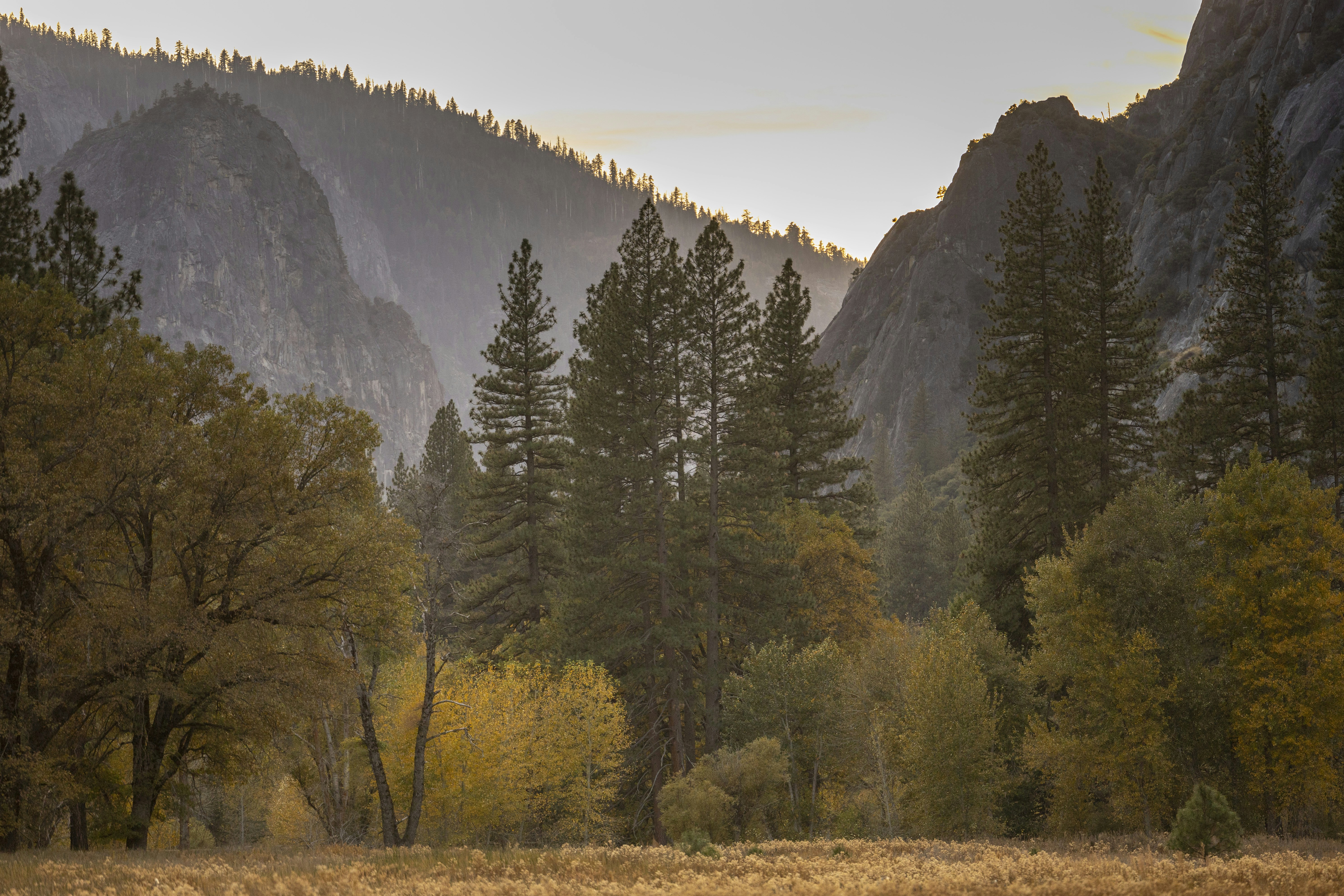 Photo by leo_visions_