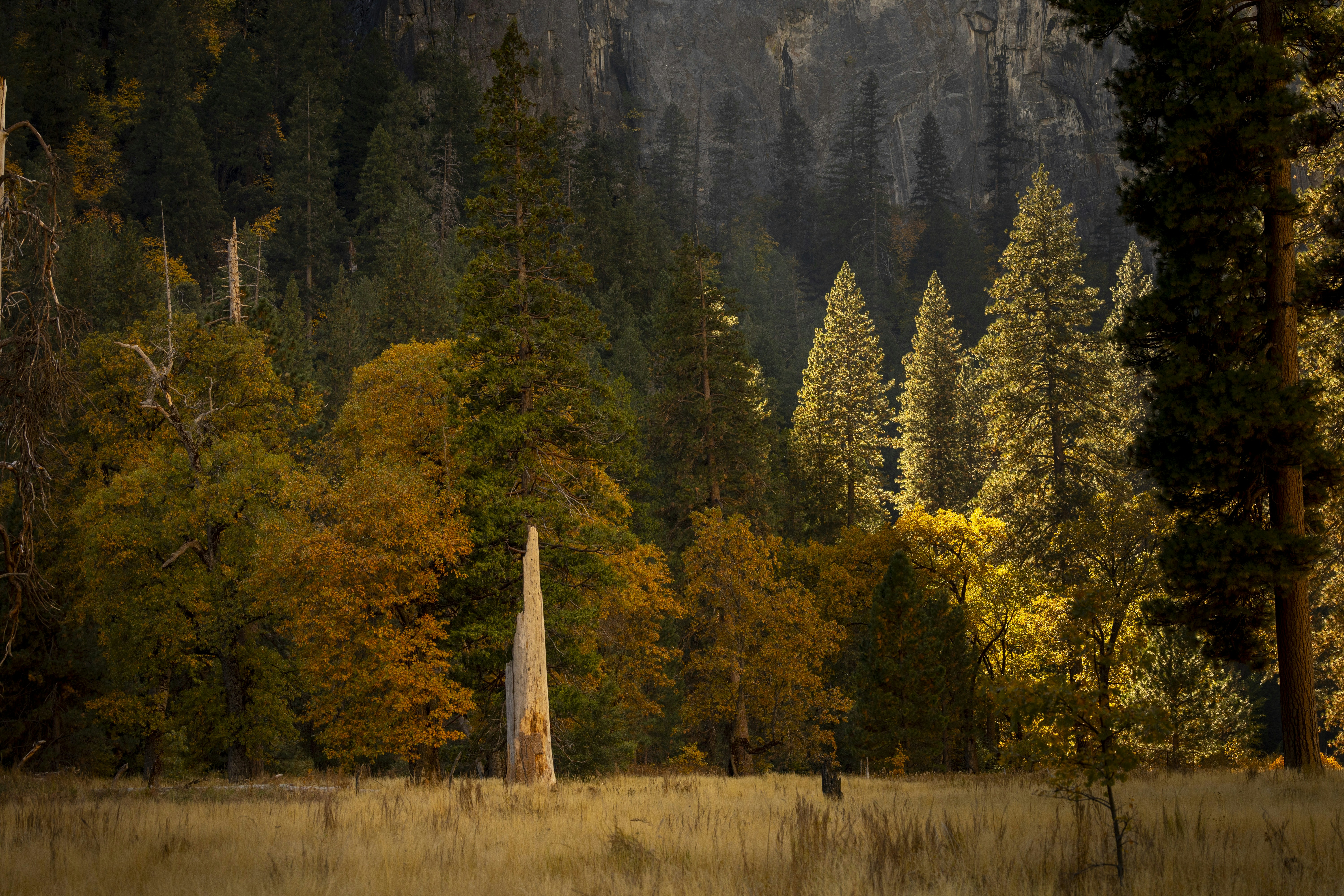 Photo by leo_visions_