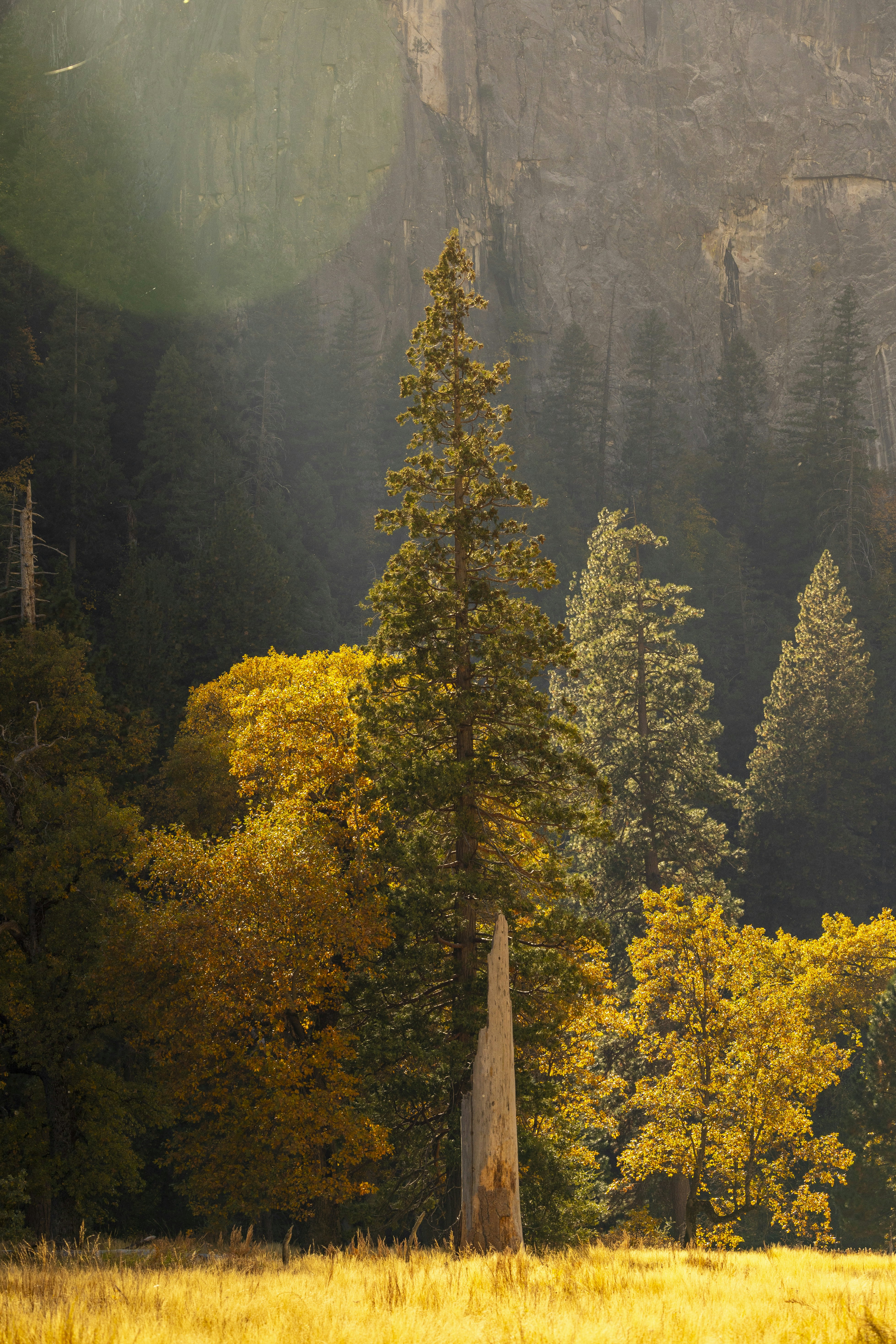 Photo by leo_visions_