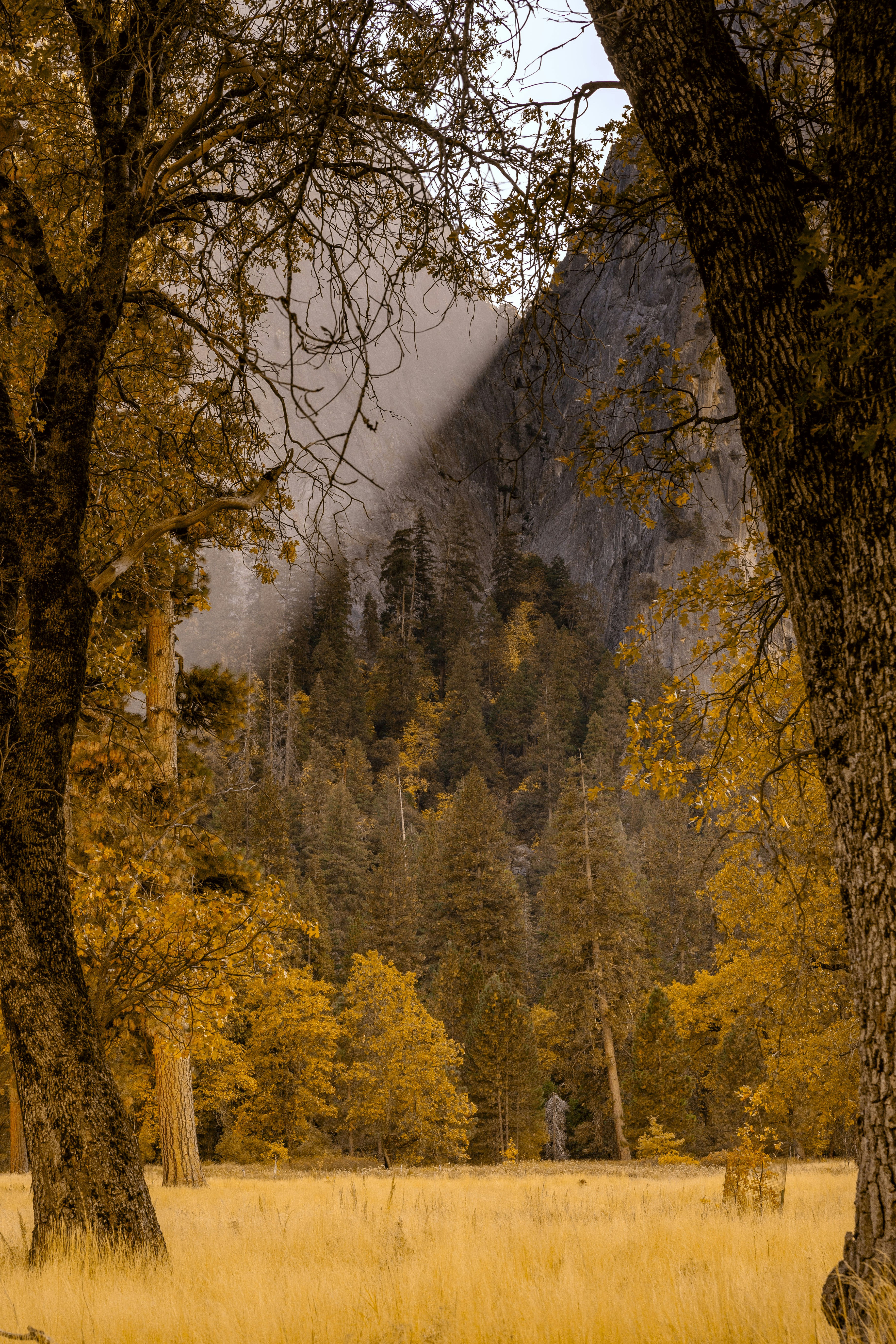 Photo by leo_visions_