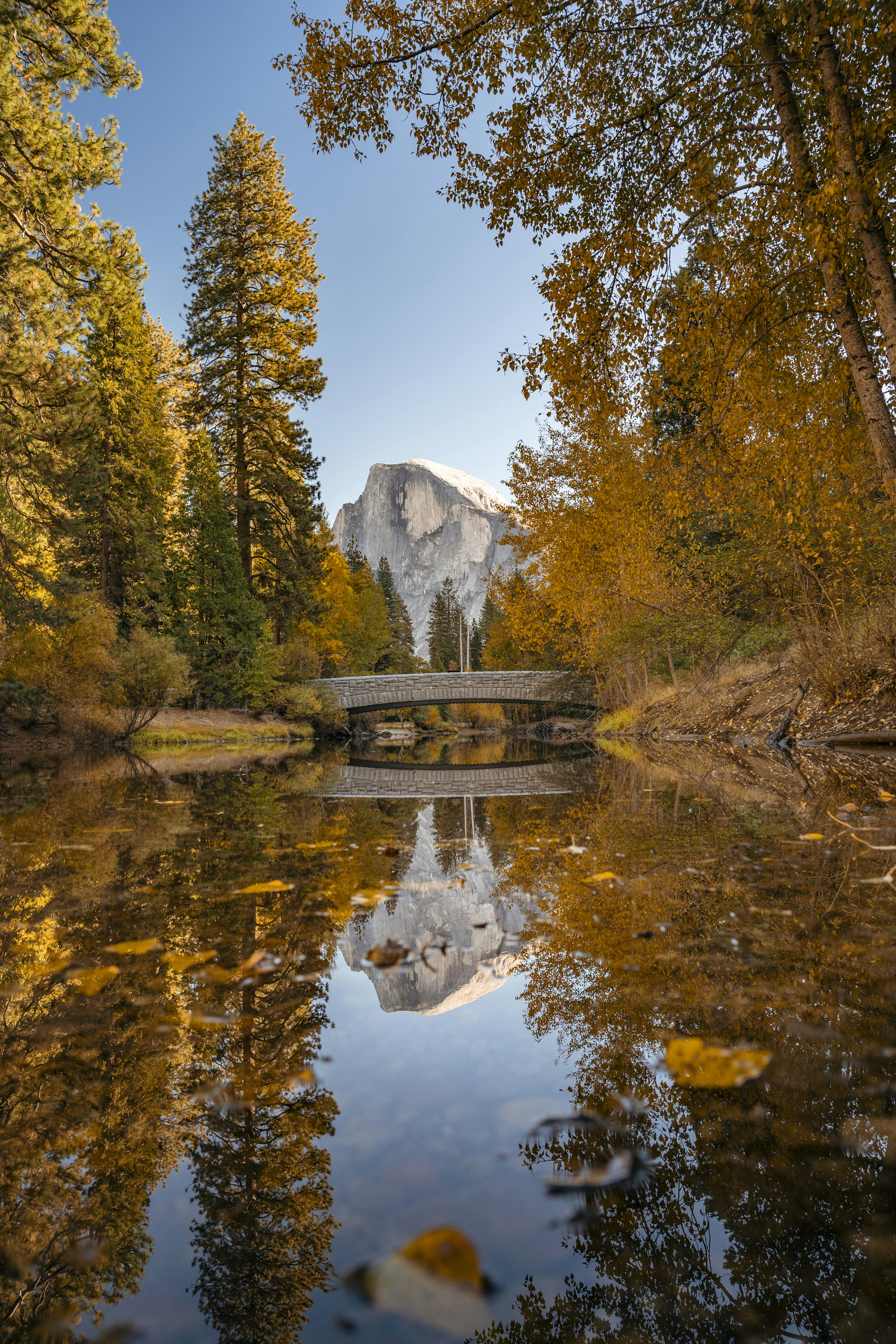 Photo by leo_visions_