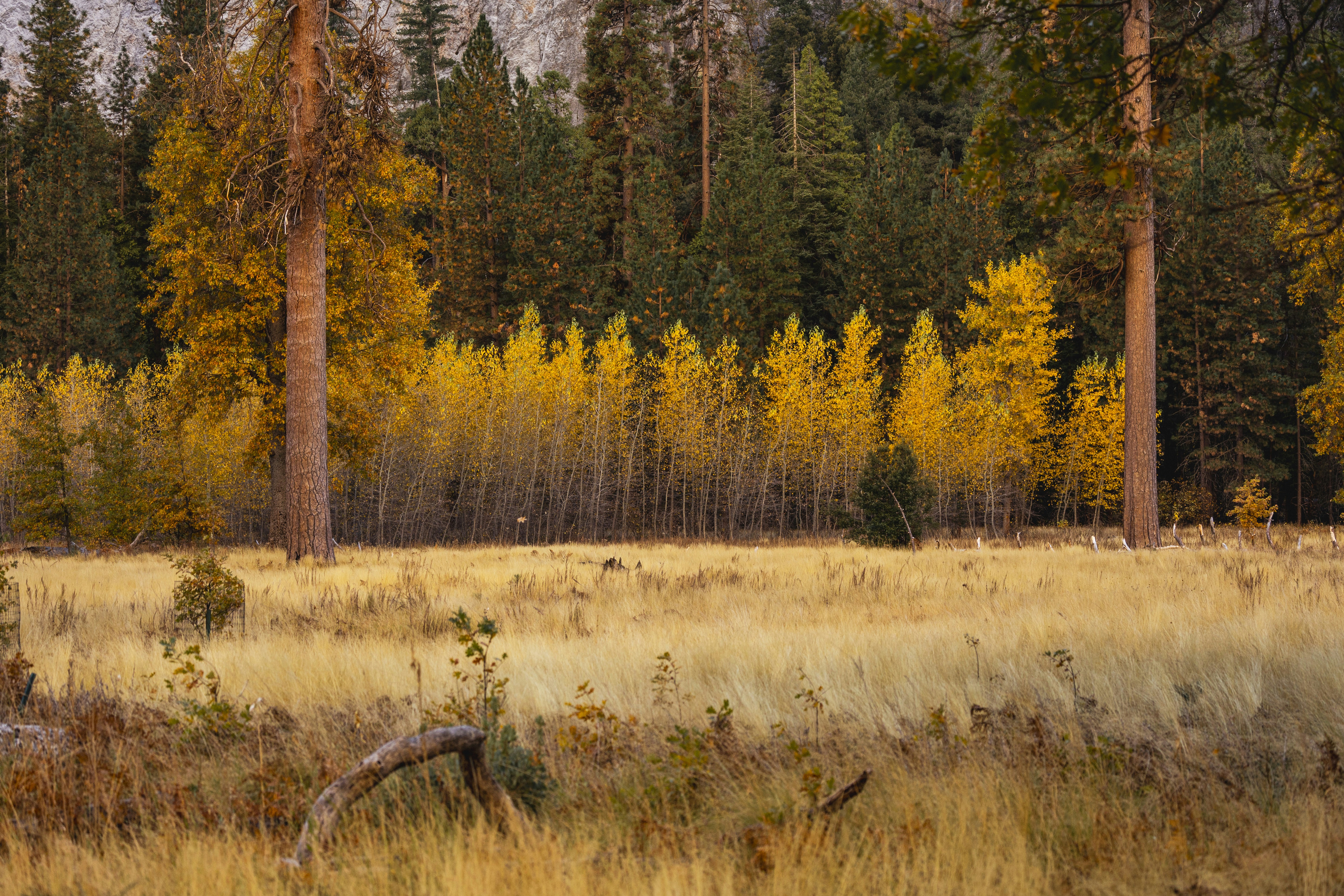 Photo by leo_visions_