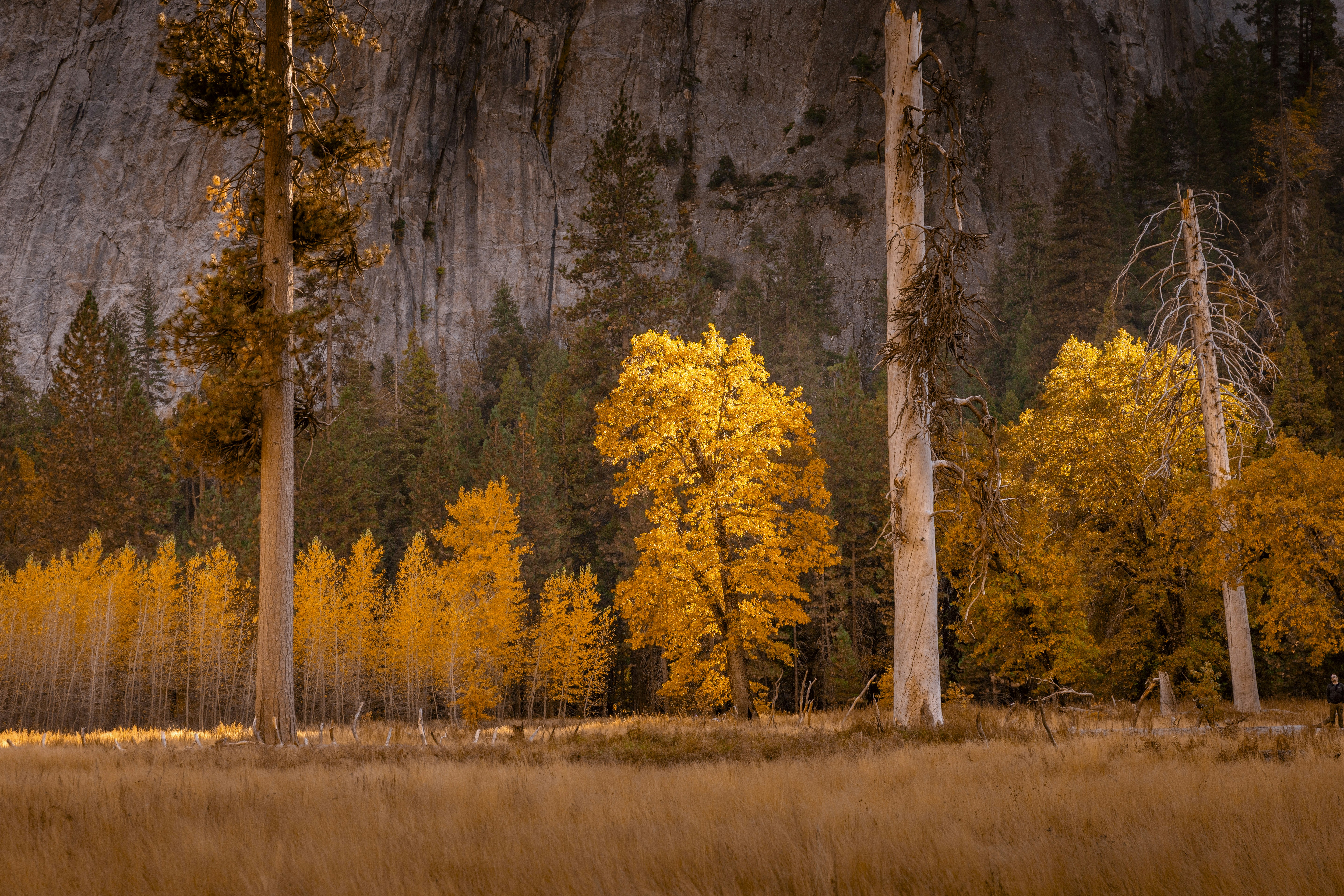 Photo by leo_visions_