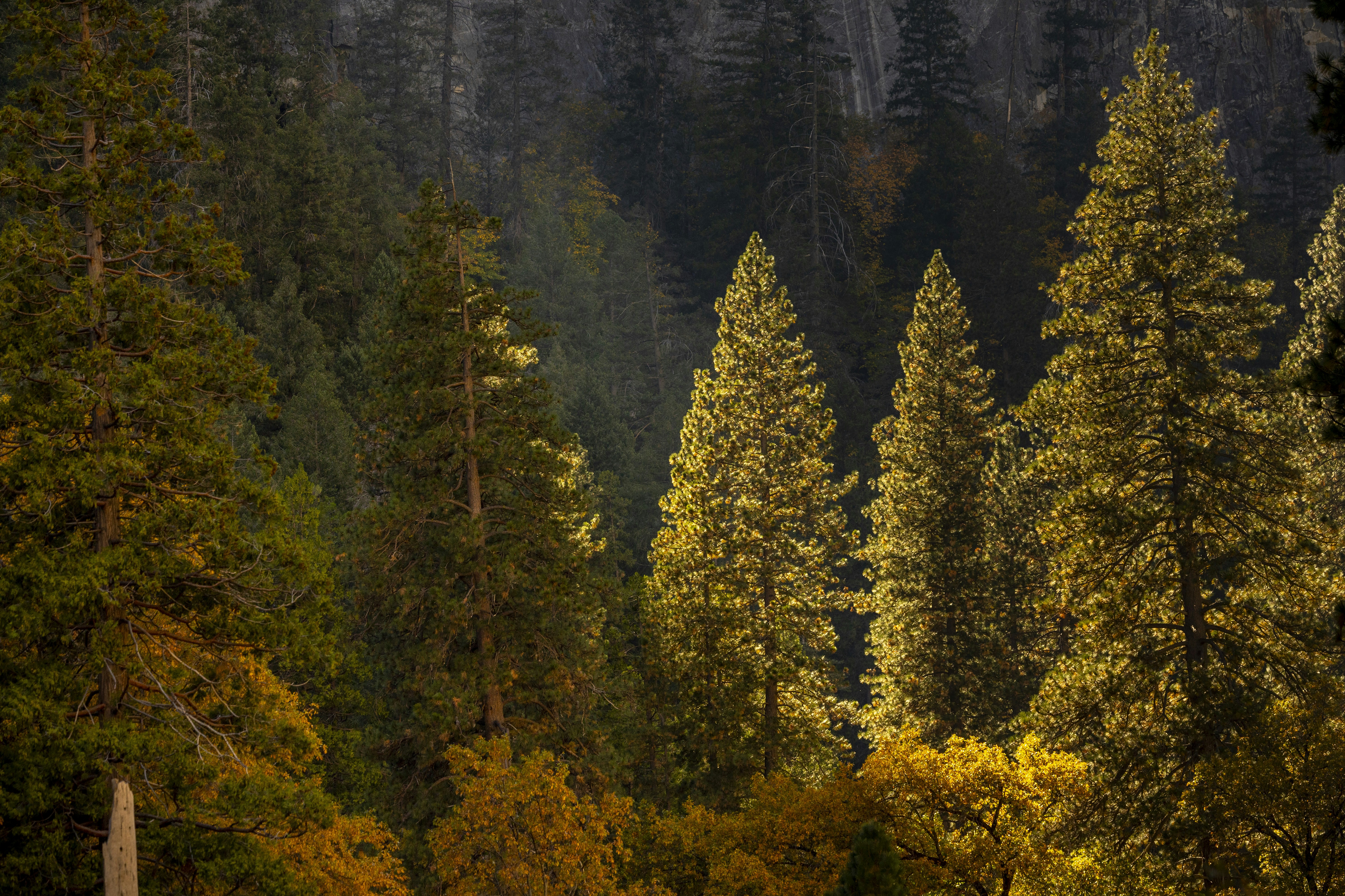 Photo by leo_visions_