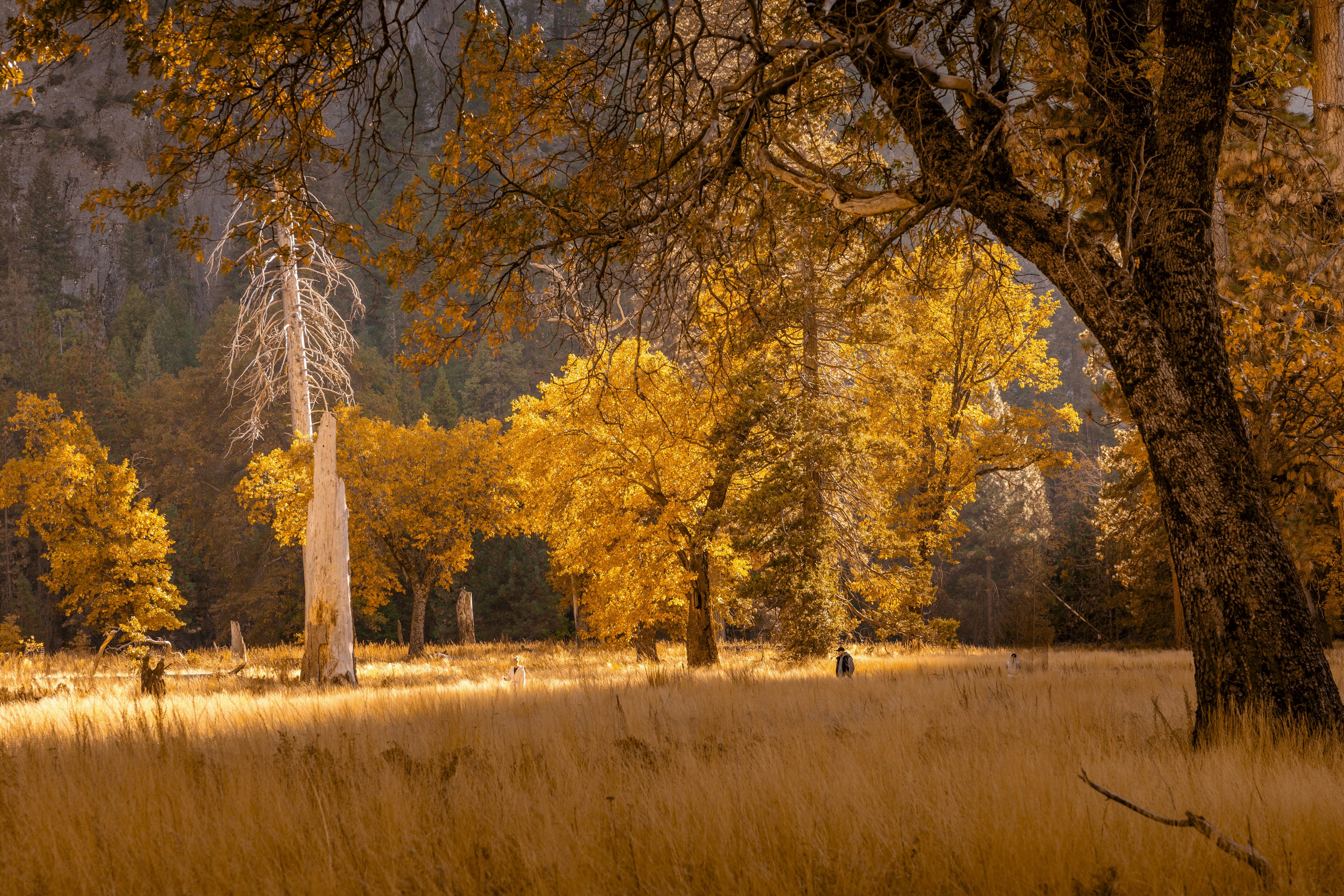 Photo by leo_visions_