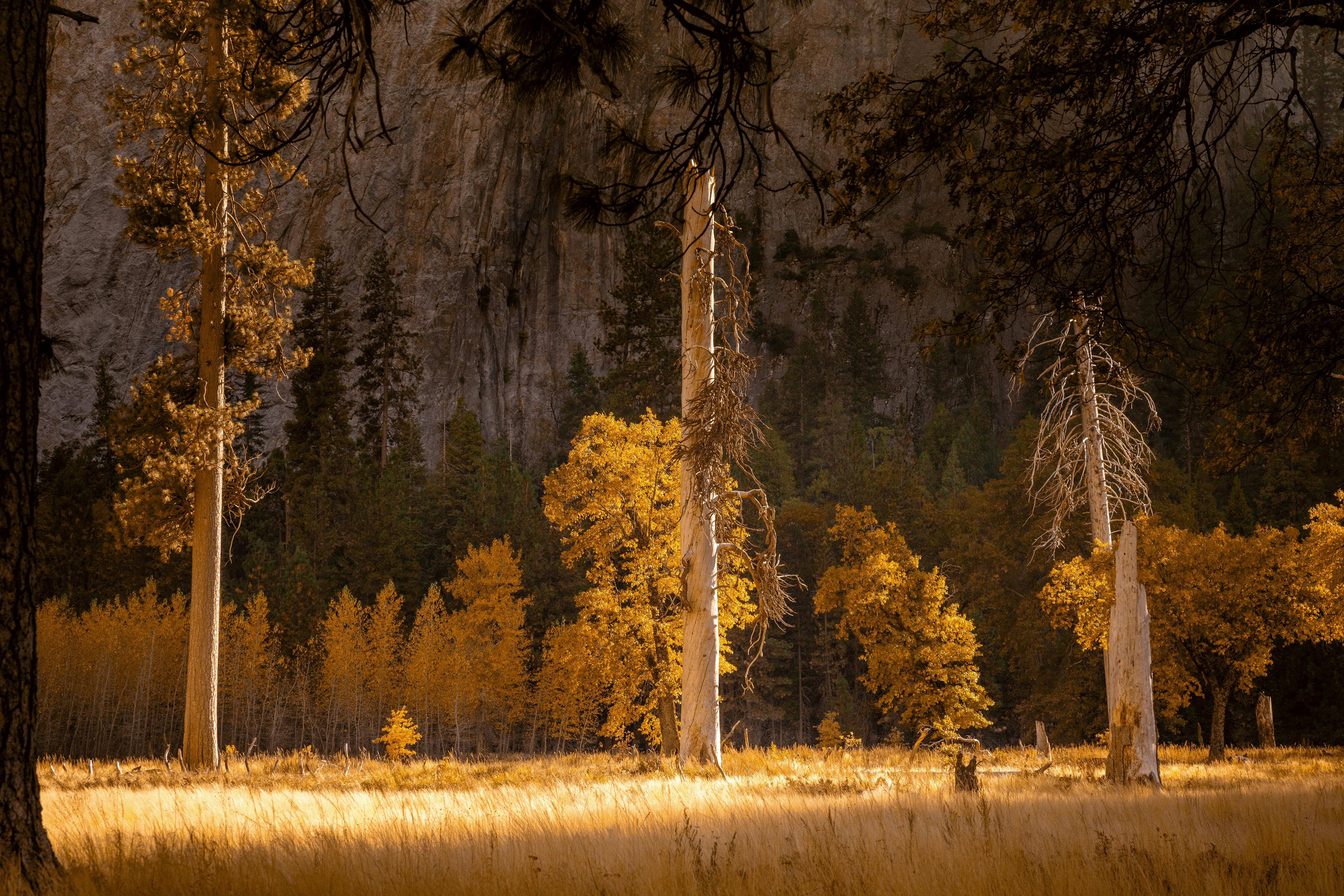 Photo by leo_visions_