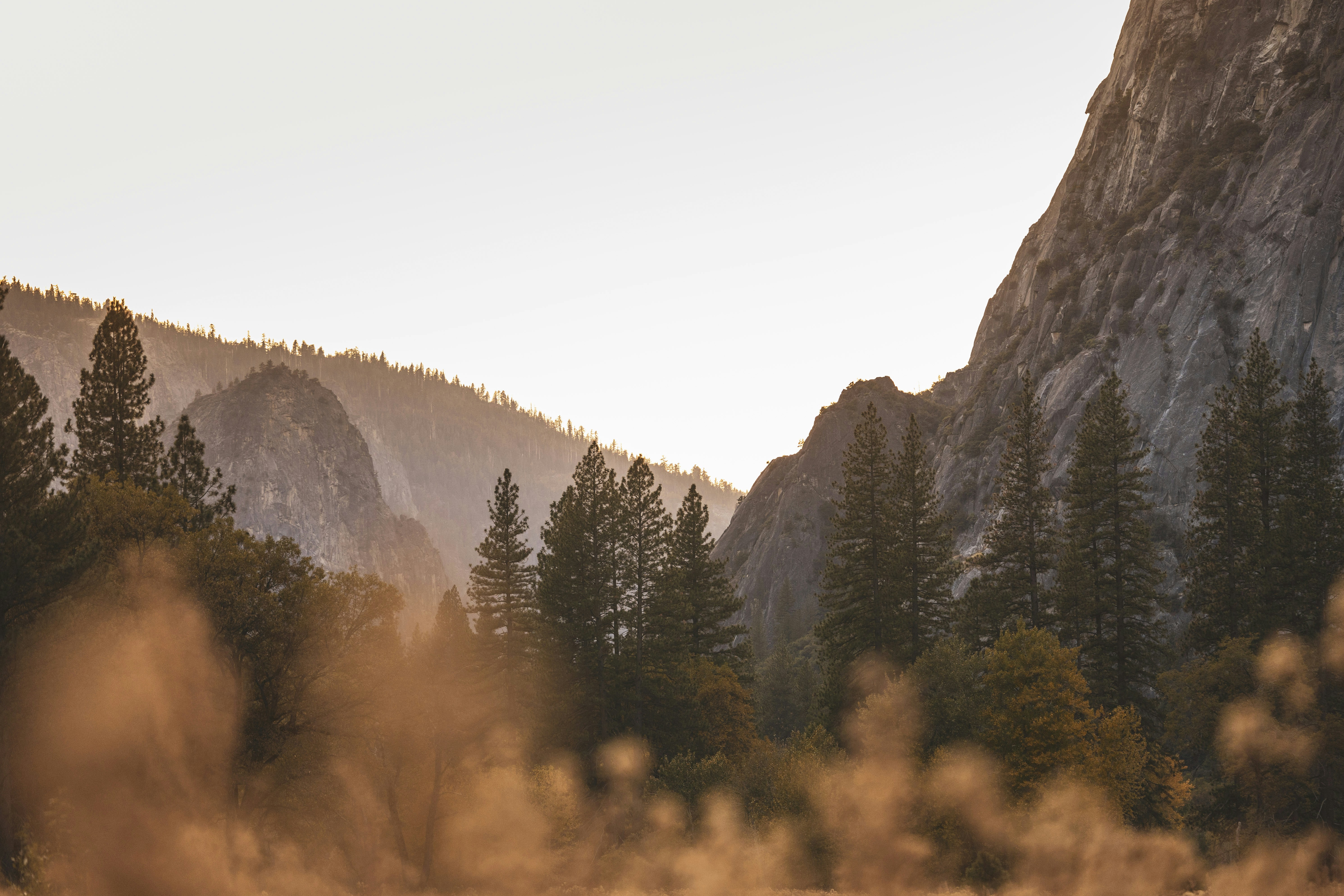 Photo by leo_visions_