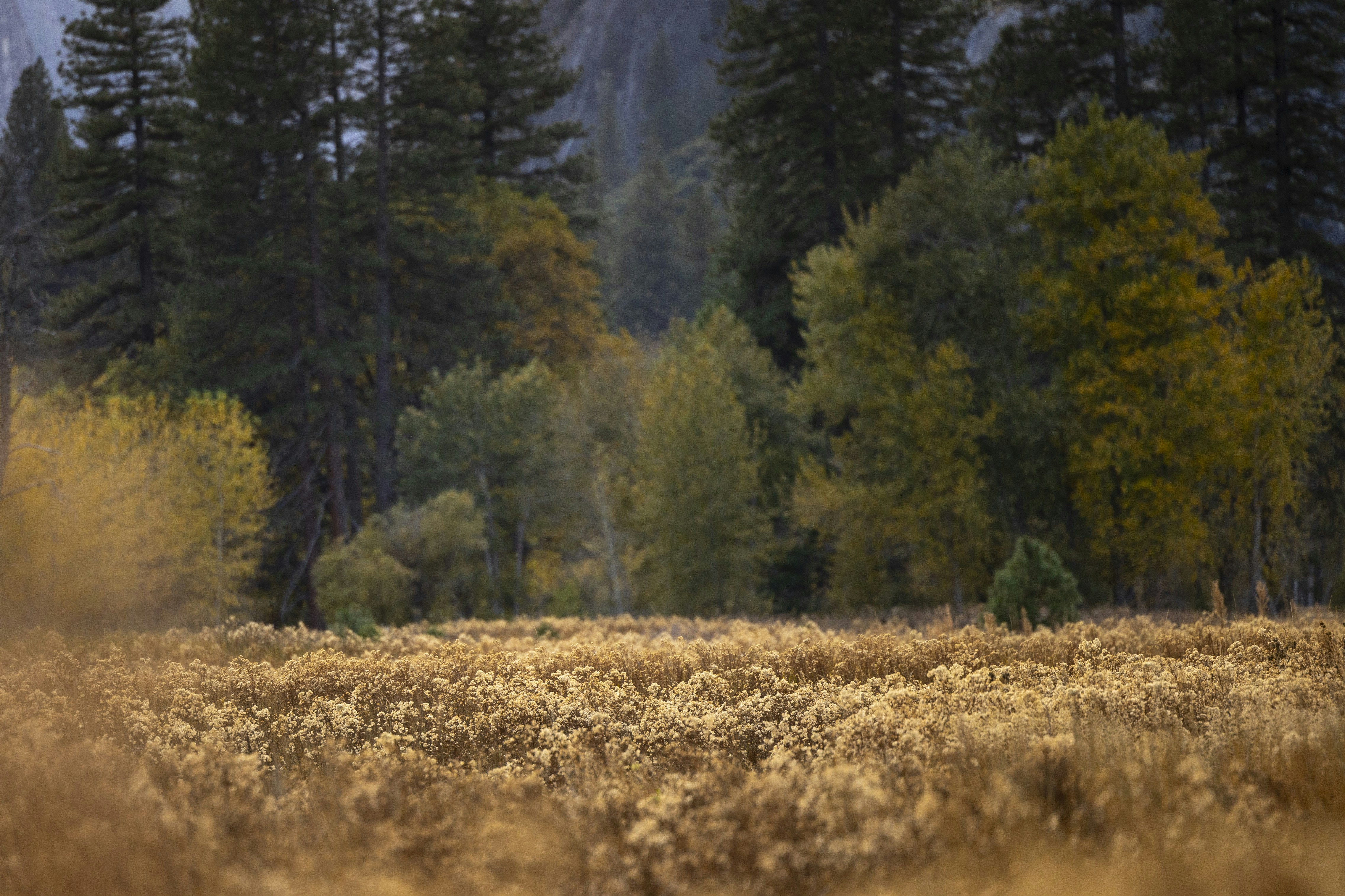 Photo by leo_visions_