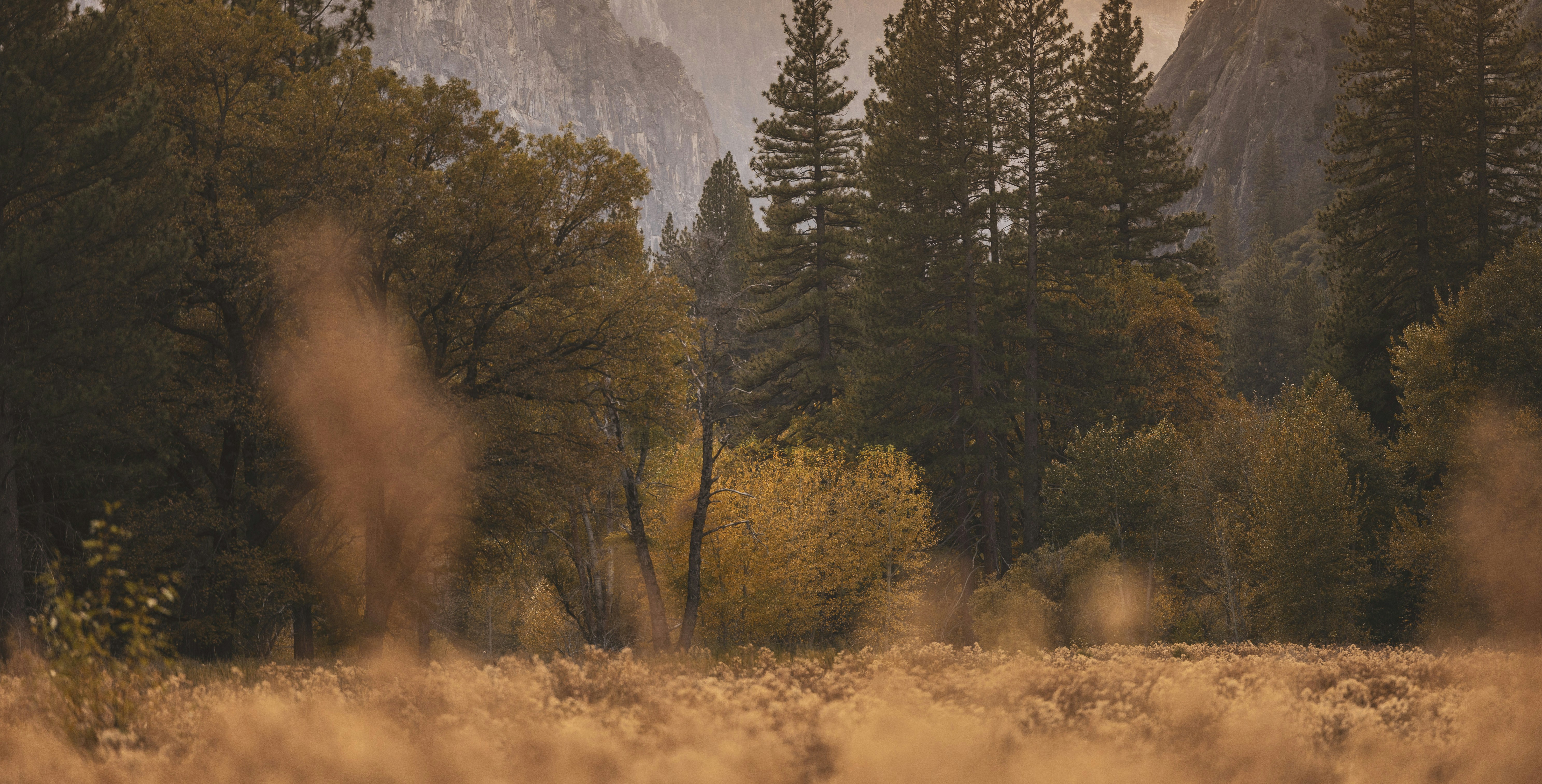 Photo by leo_visions_