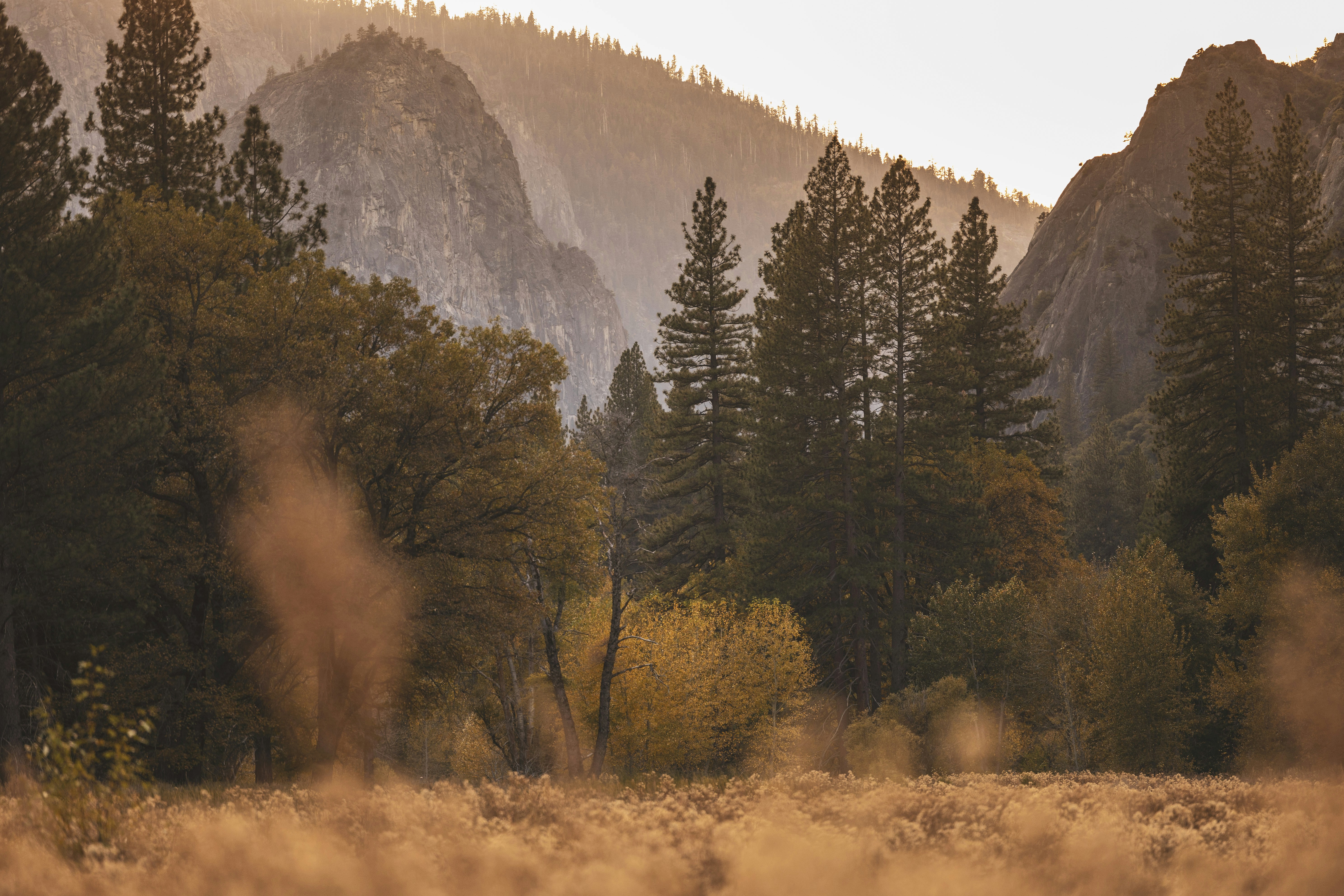 Photo by leo_visions_