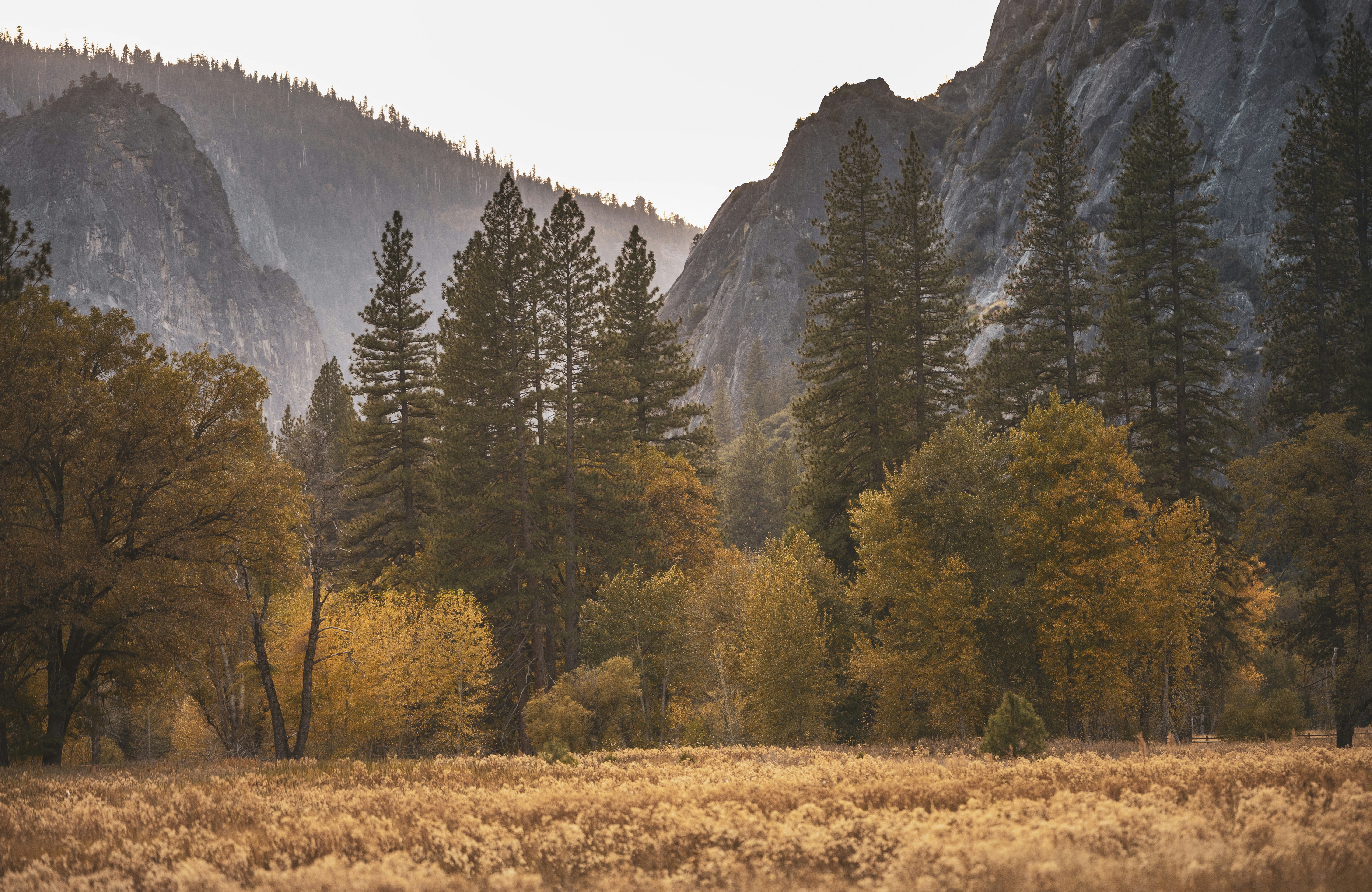 Photo by leo_visions_