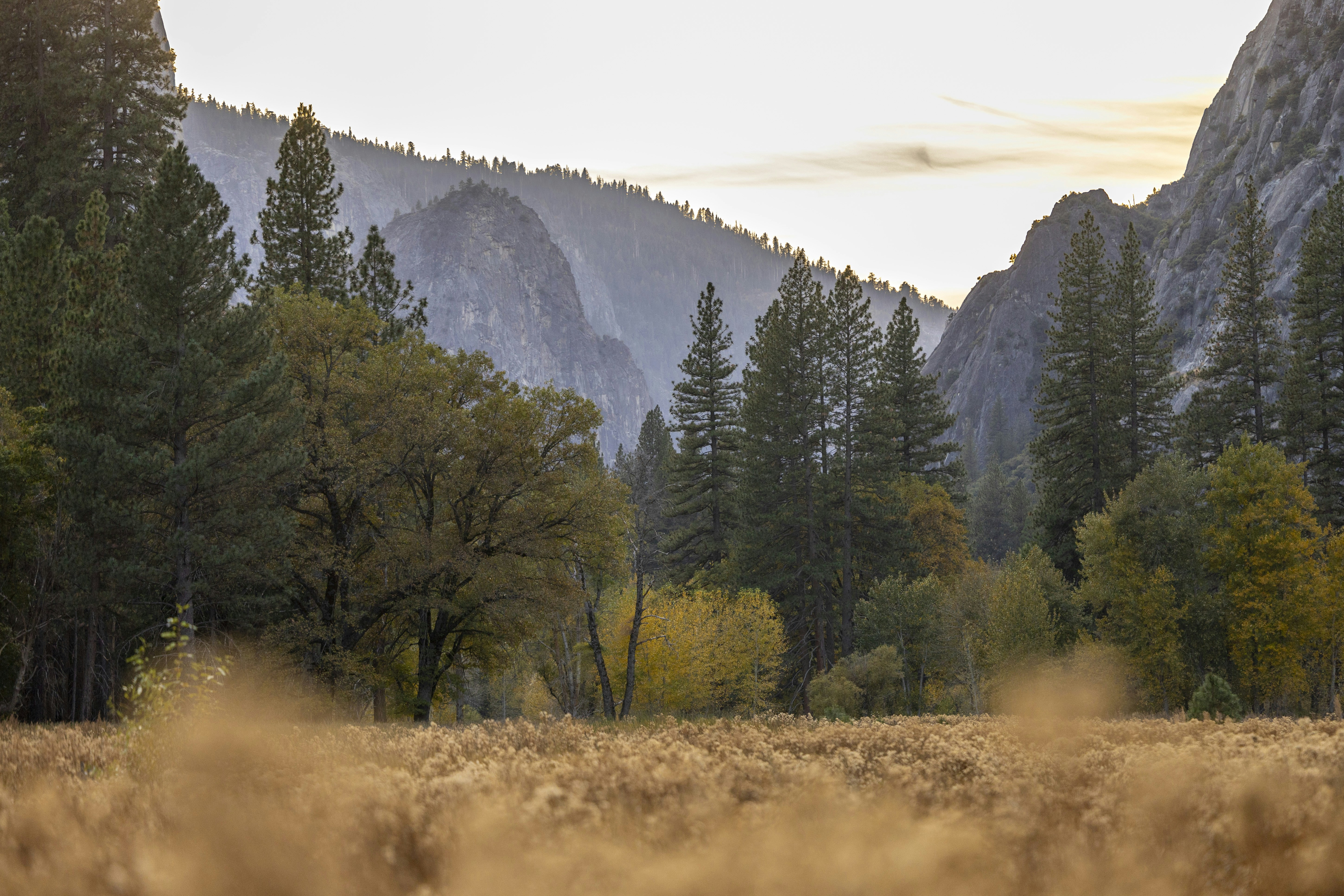 Photo by leo_visions_