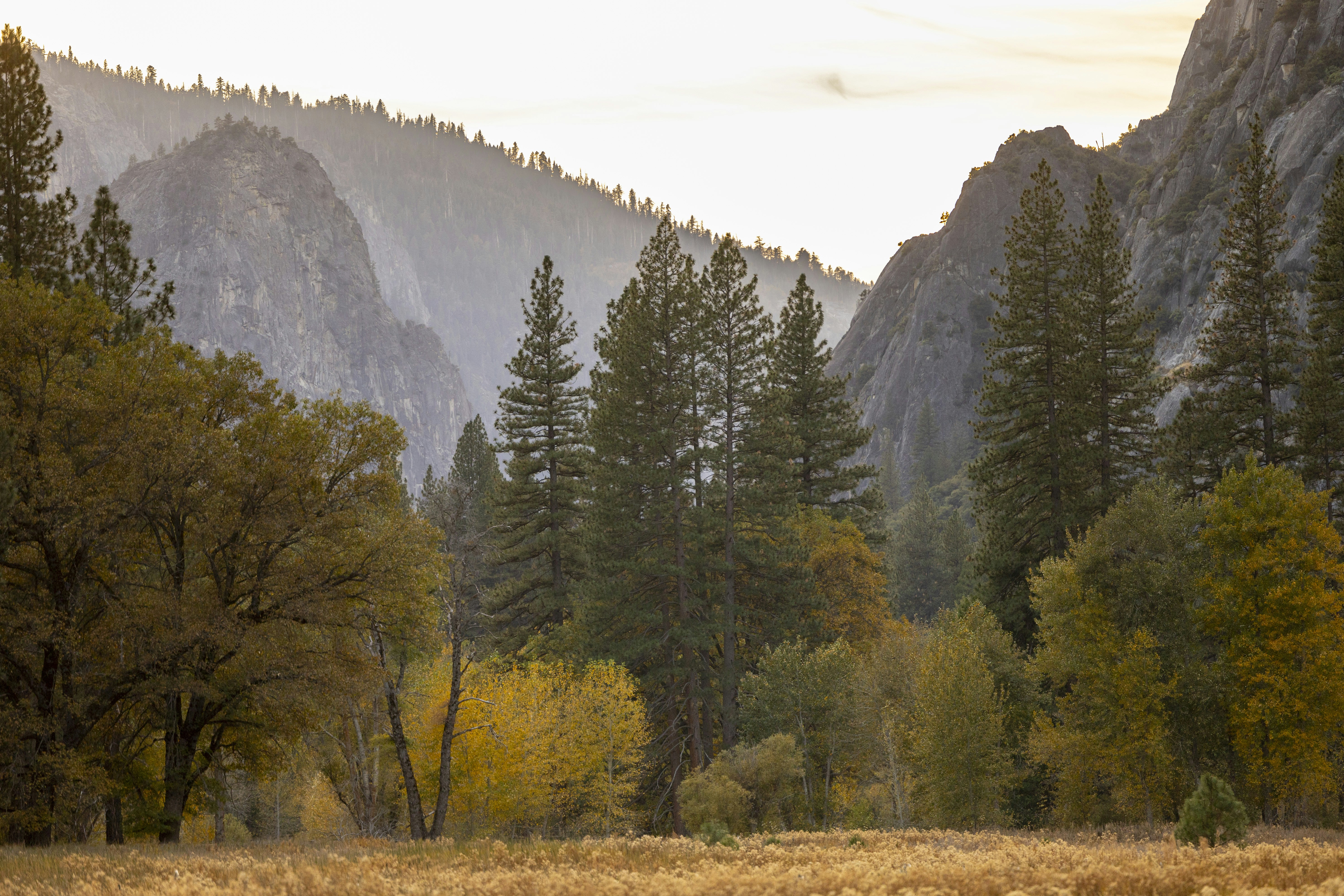 Photo by leo_visions_