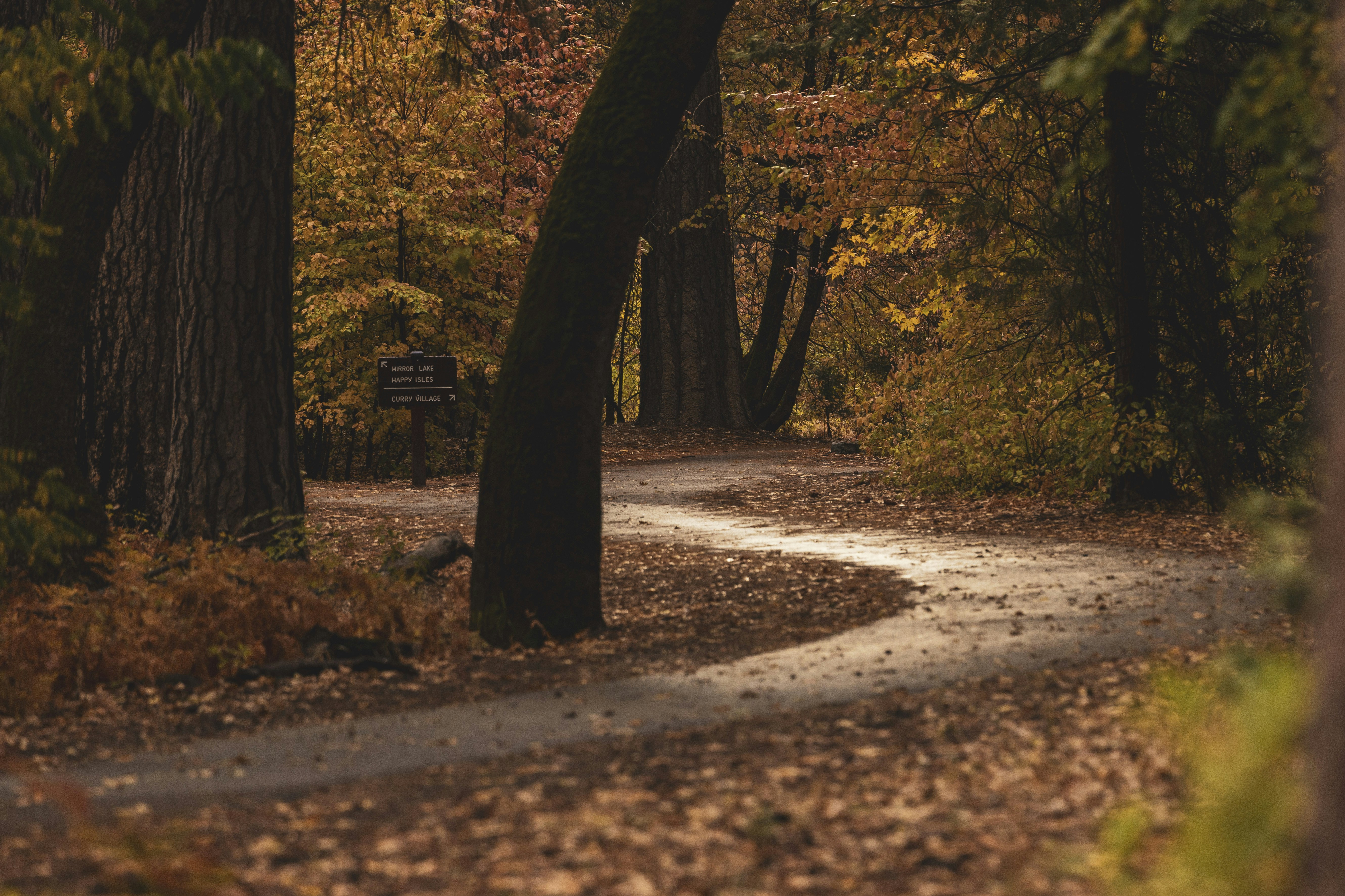 Photo by leo_visions_