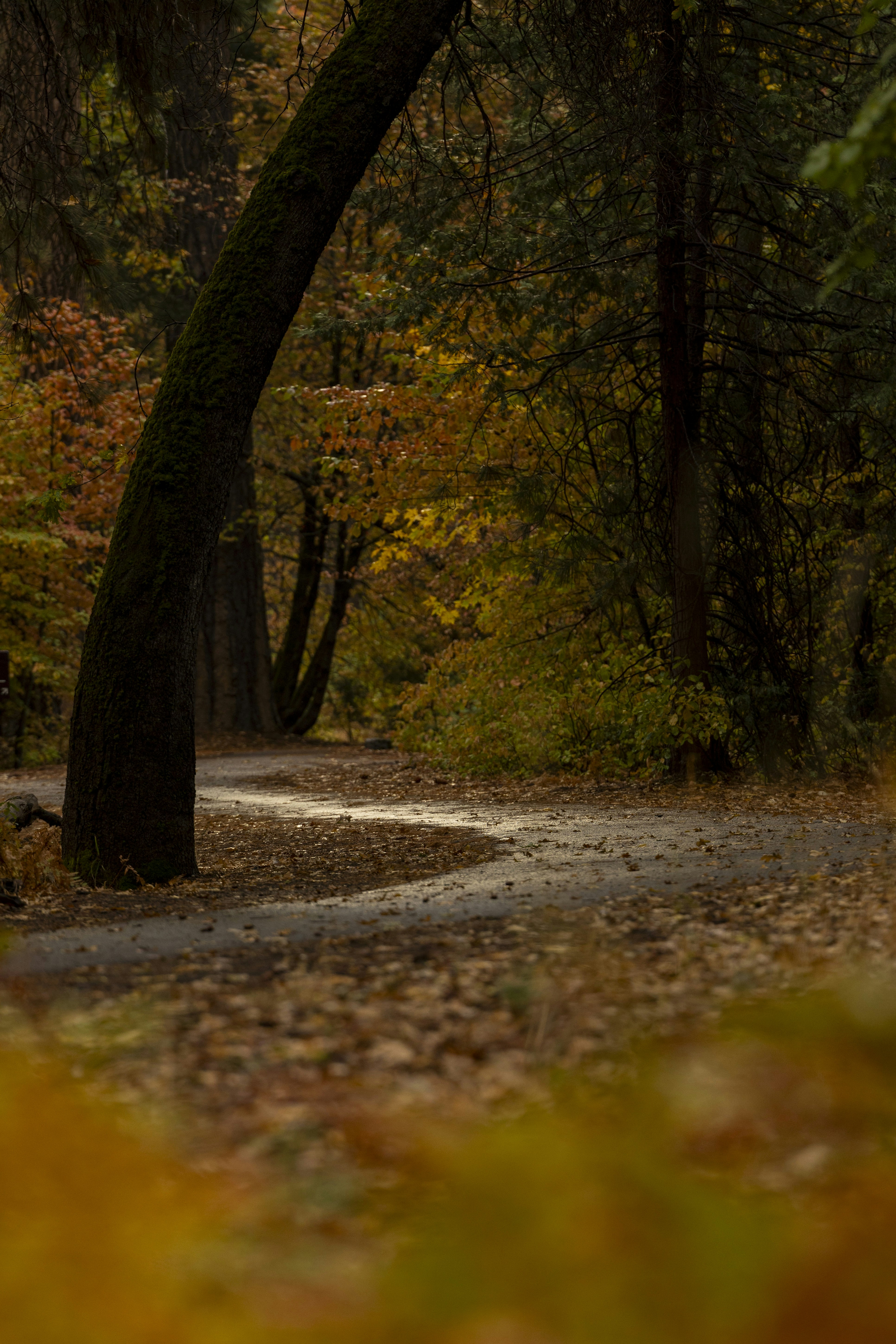 Photo by leo_visions_