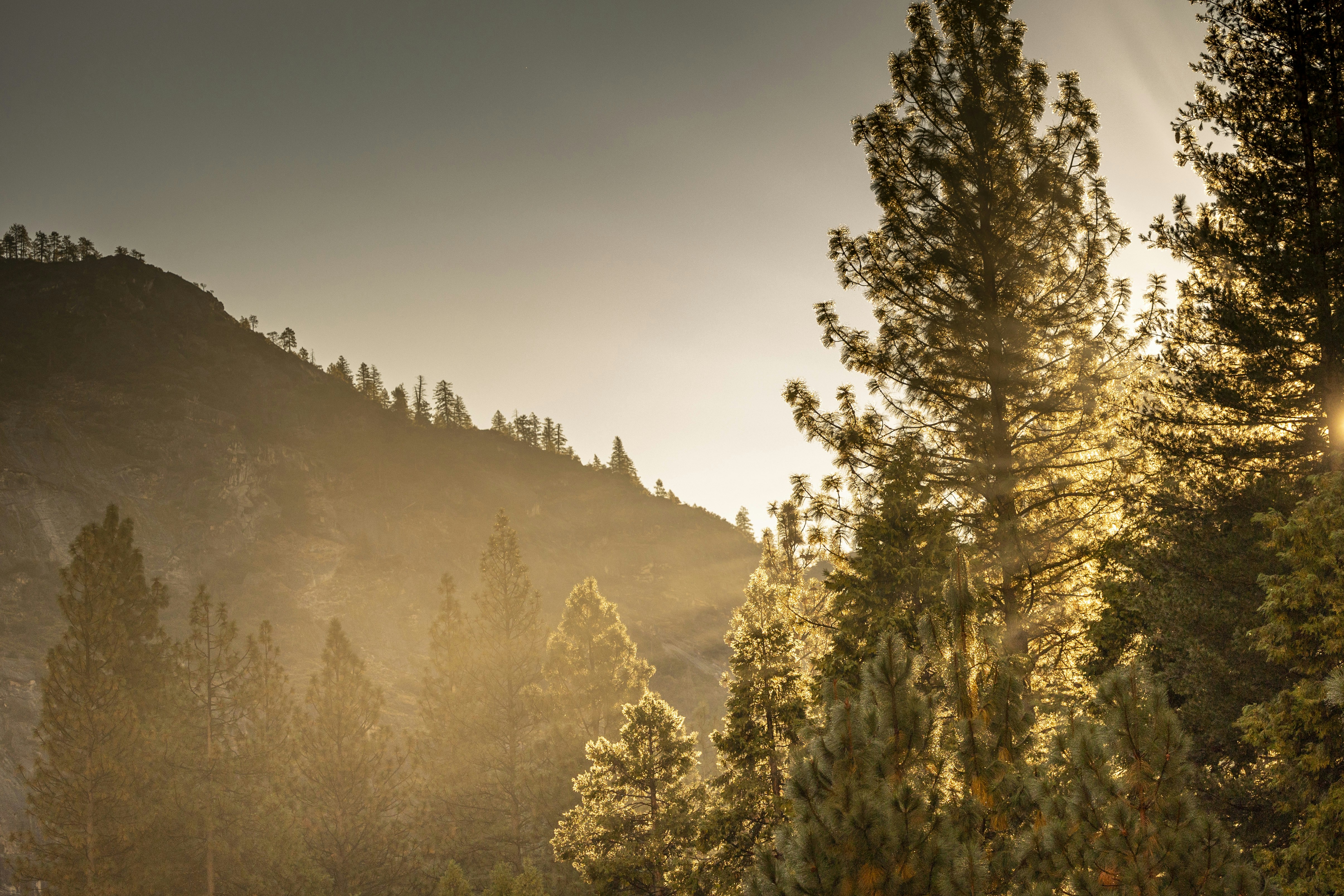 Photo by leo_visions_