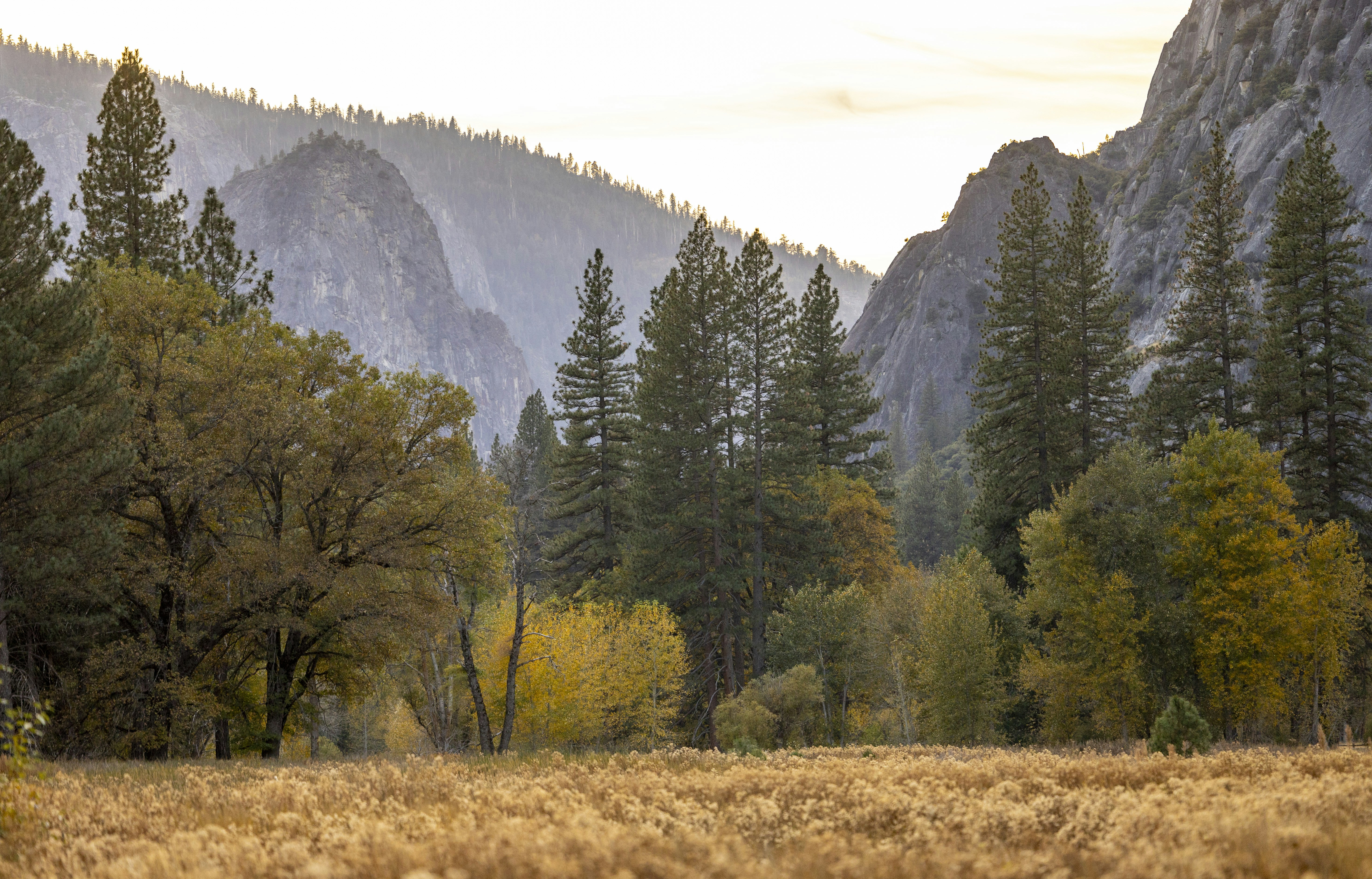 Photo by leo_visions_