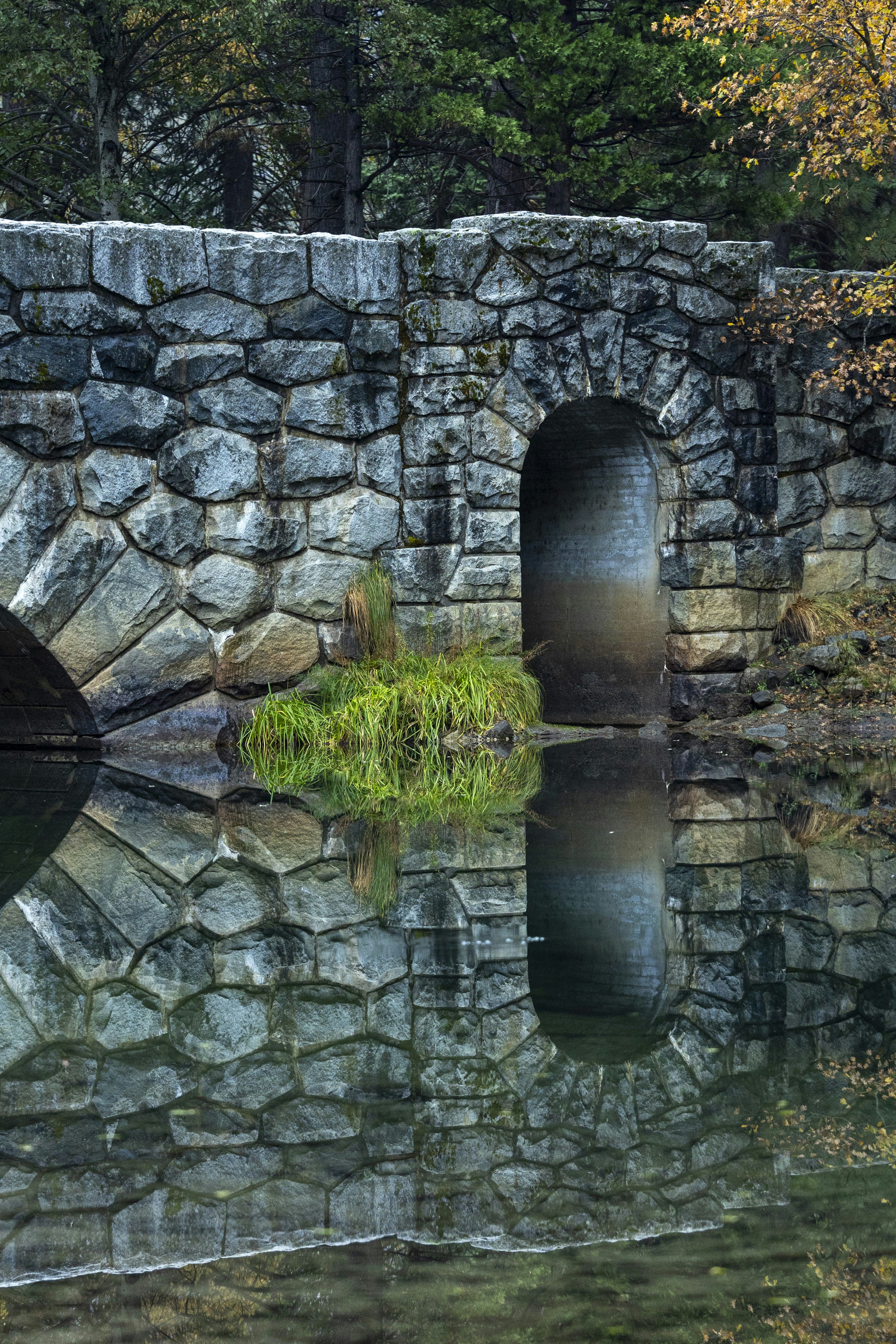 Photo by leo_visions_