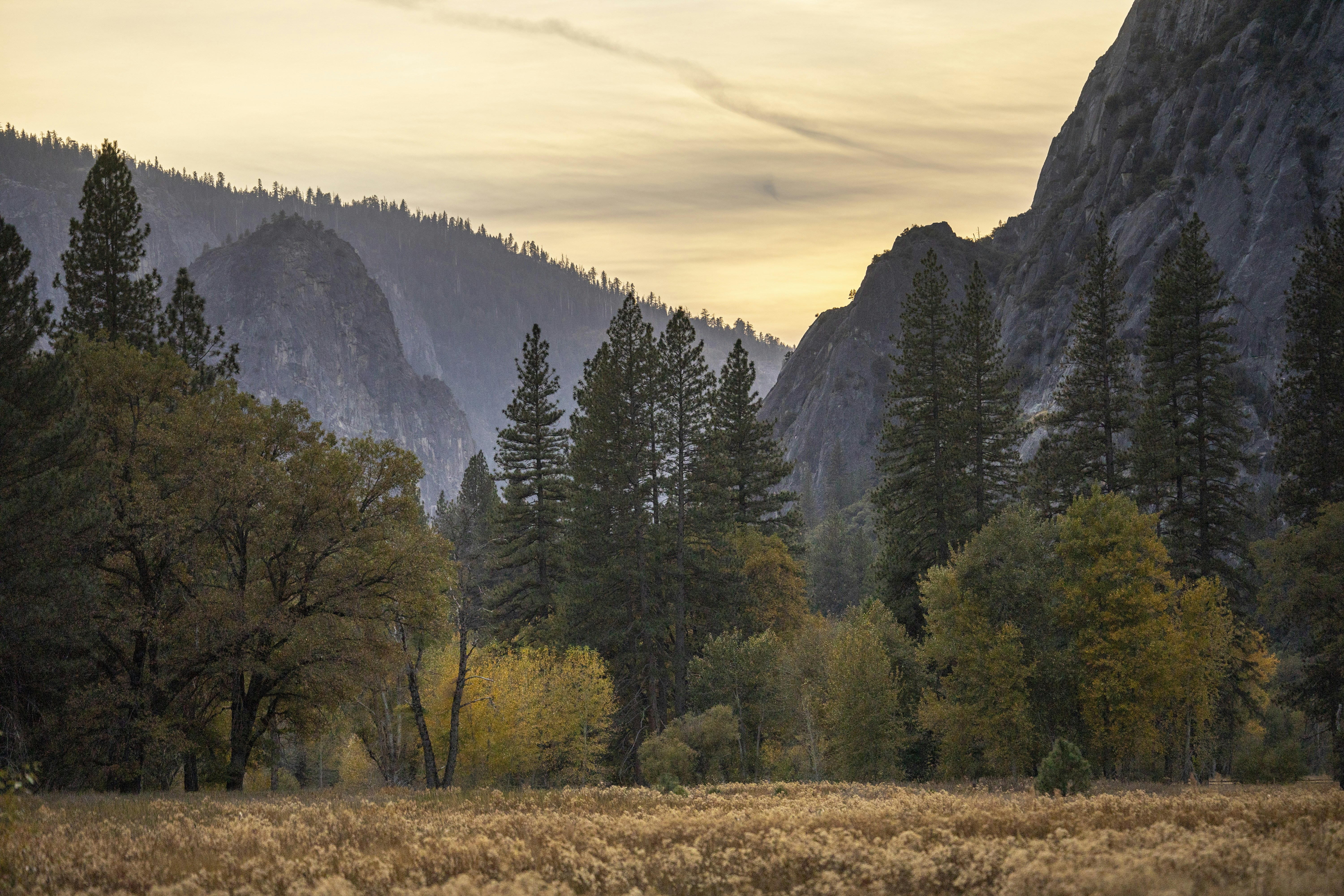 Photo by leo_visions_