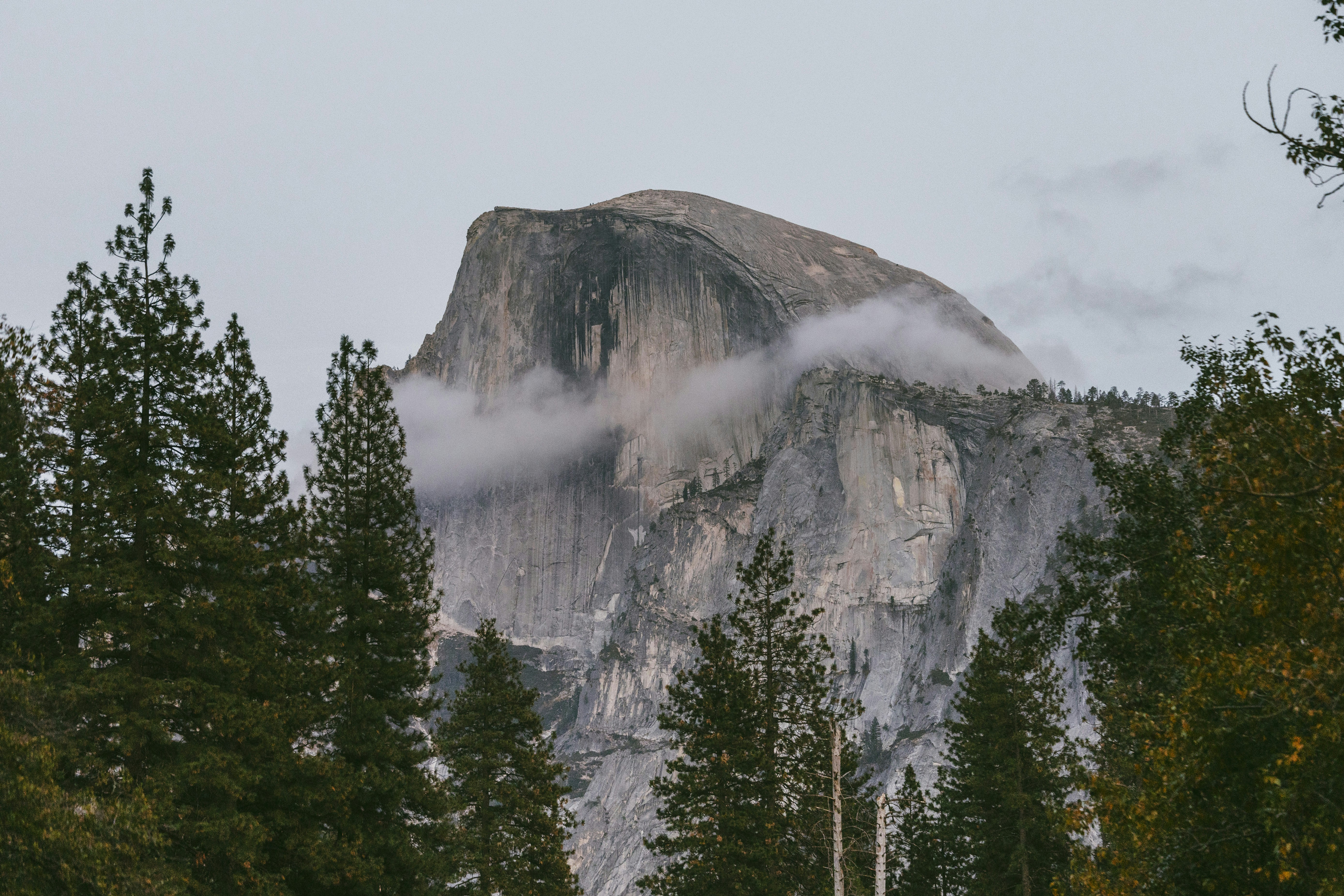 Photo by leo_visions_