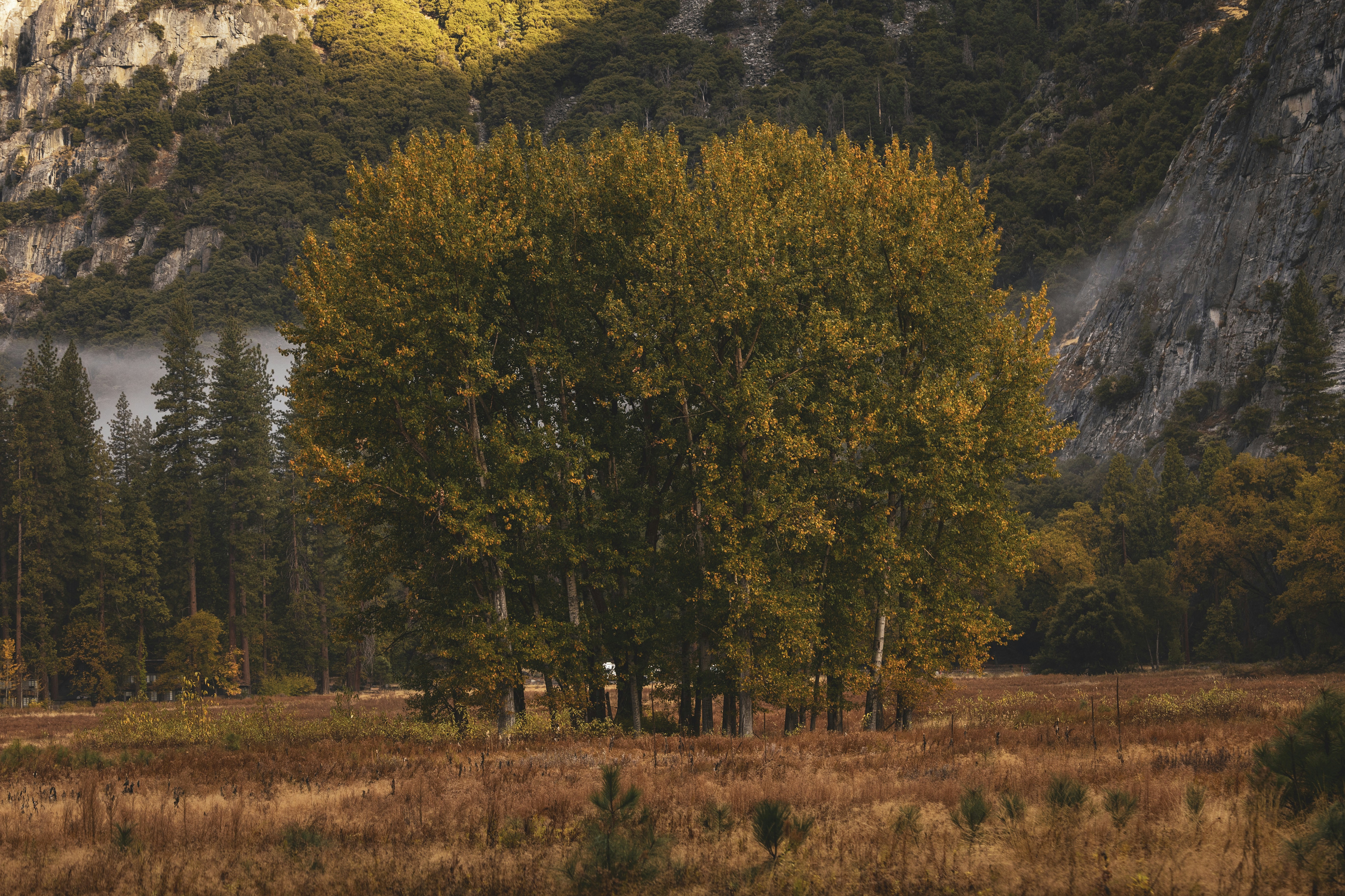 Photo by leo_visions_