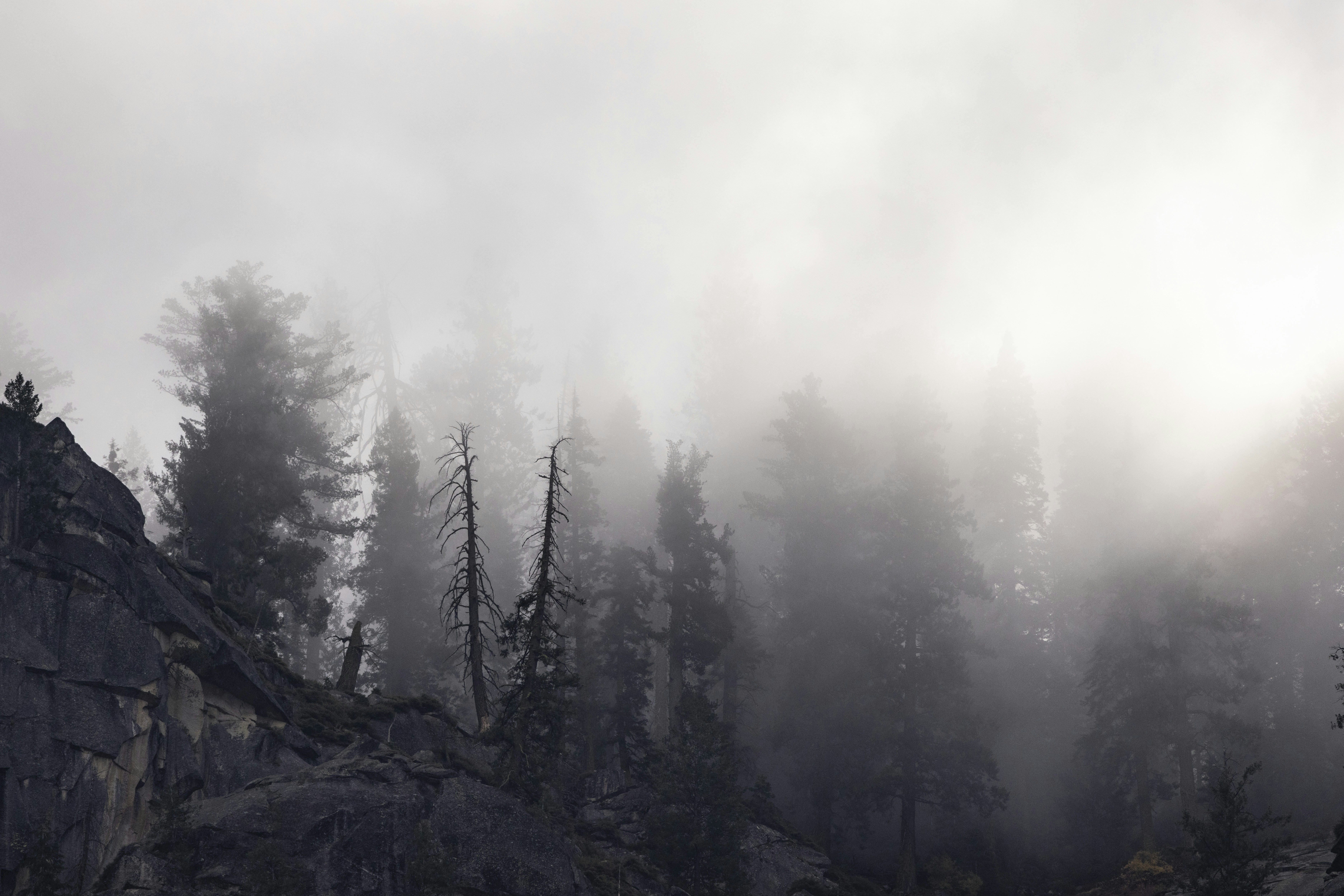 Photo by leo_visions_