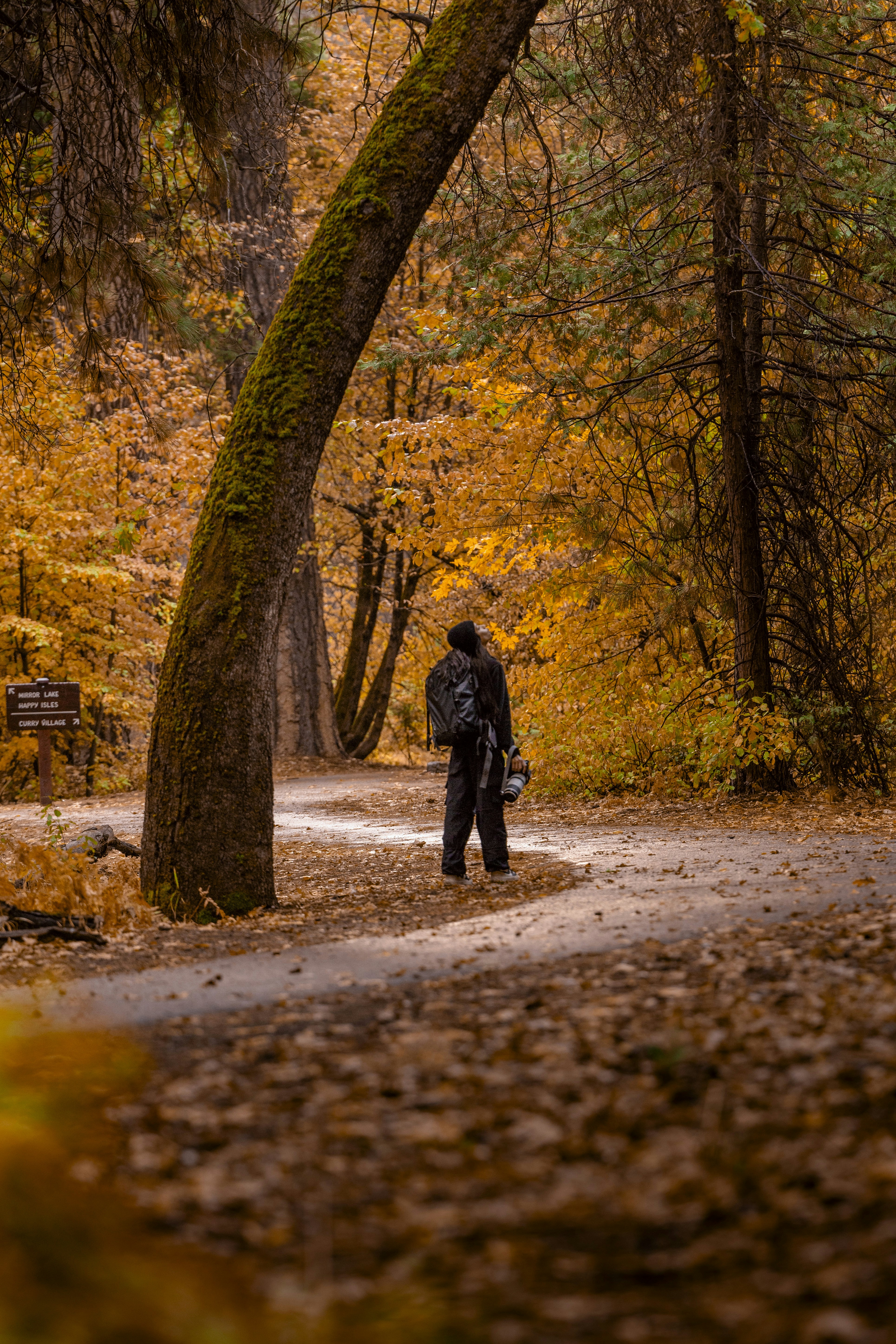 Photo by leo_visions_