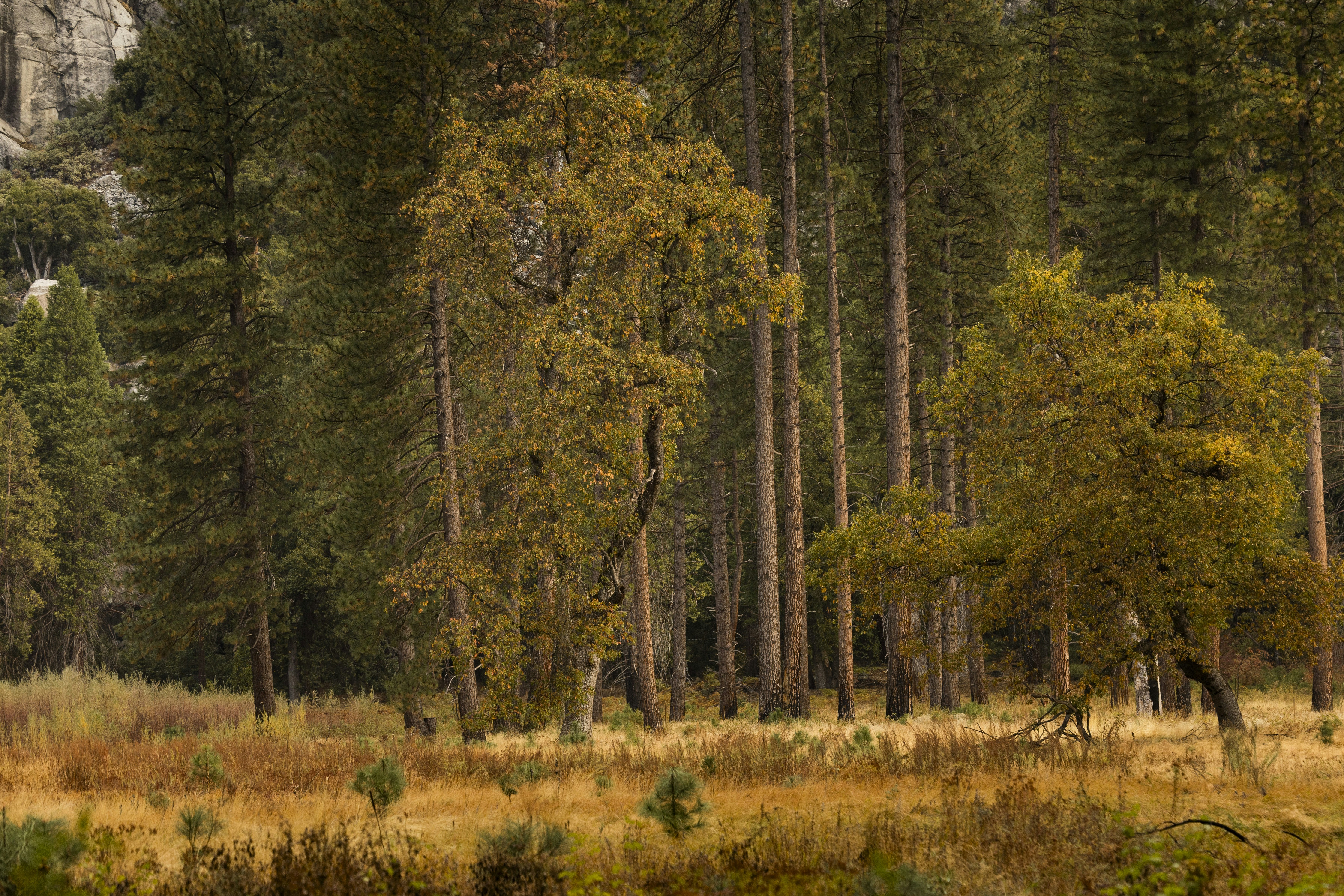 Photo by leo_visions_