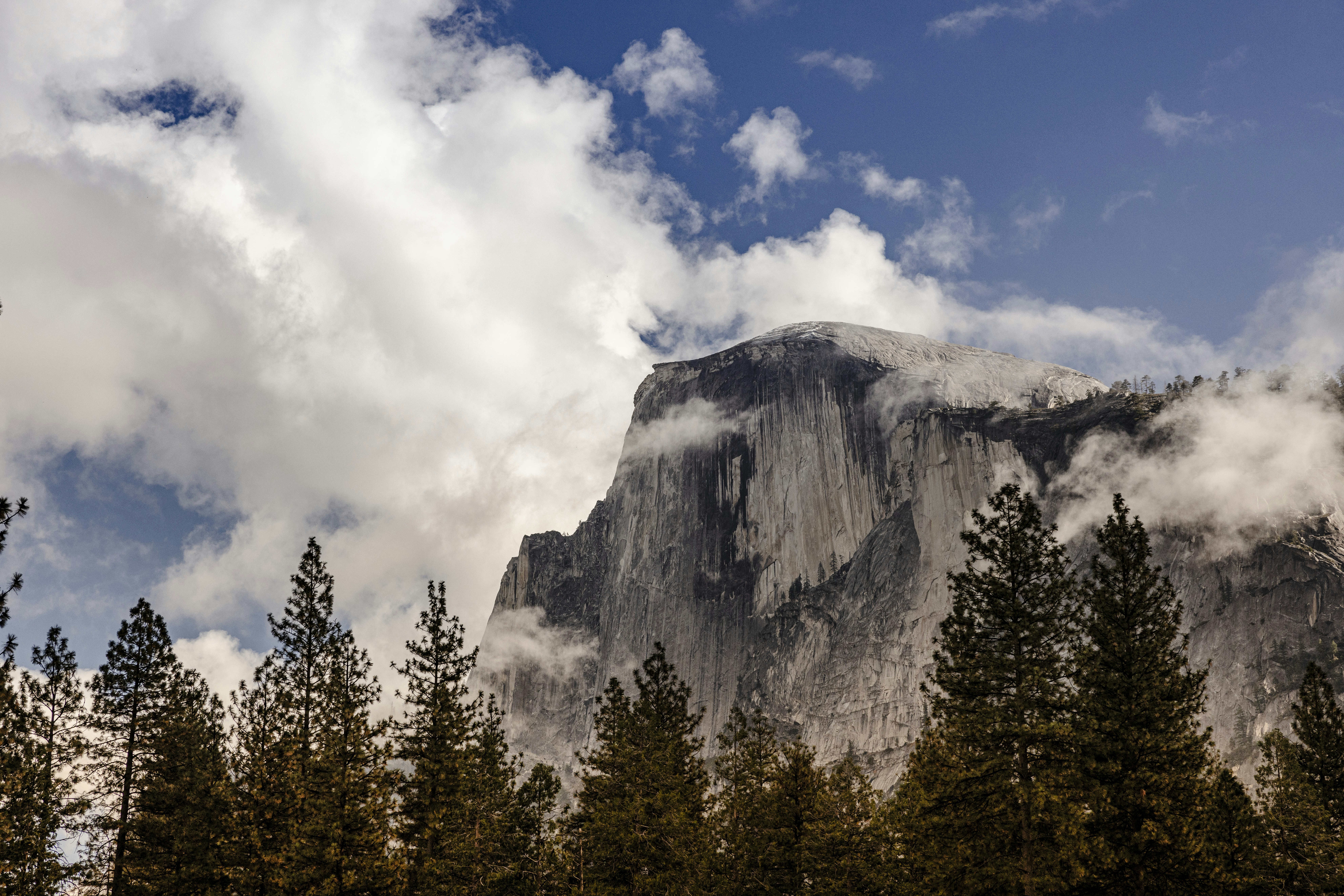 Photo by leo_visions_