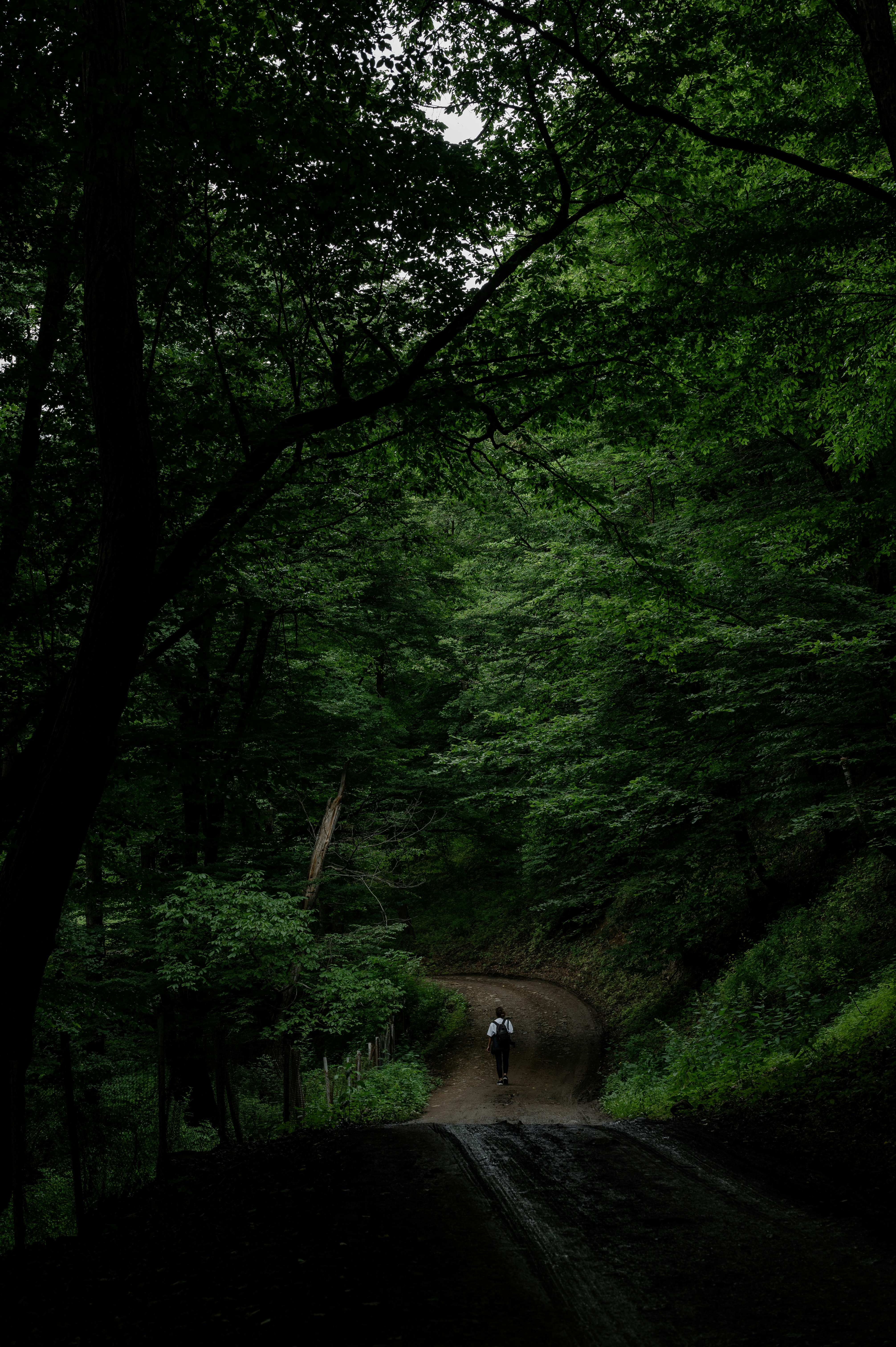 Photo by lucypetrosian