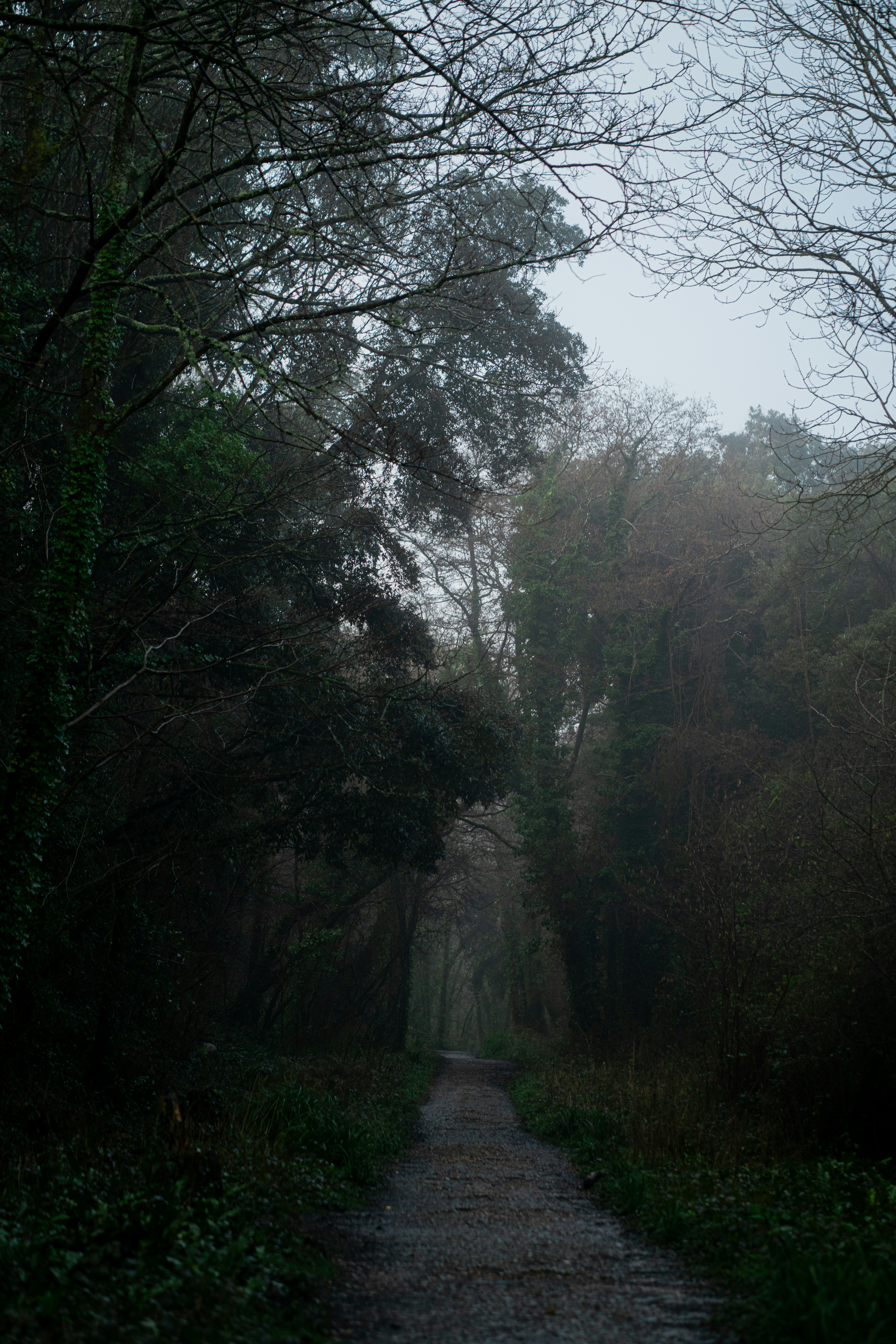 Photo by orangetiephotography