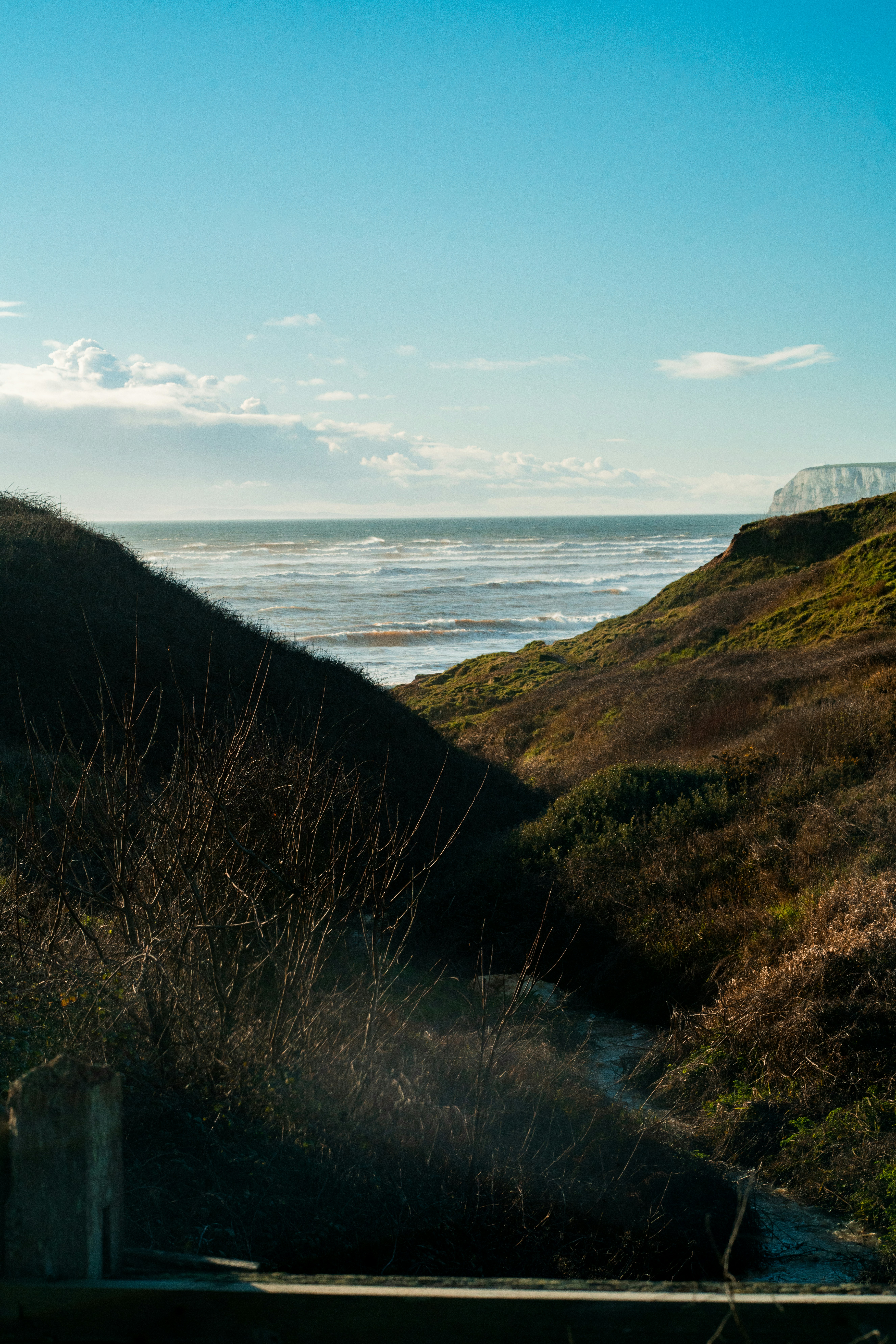 Photo by orangetiephotography