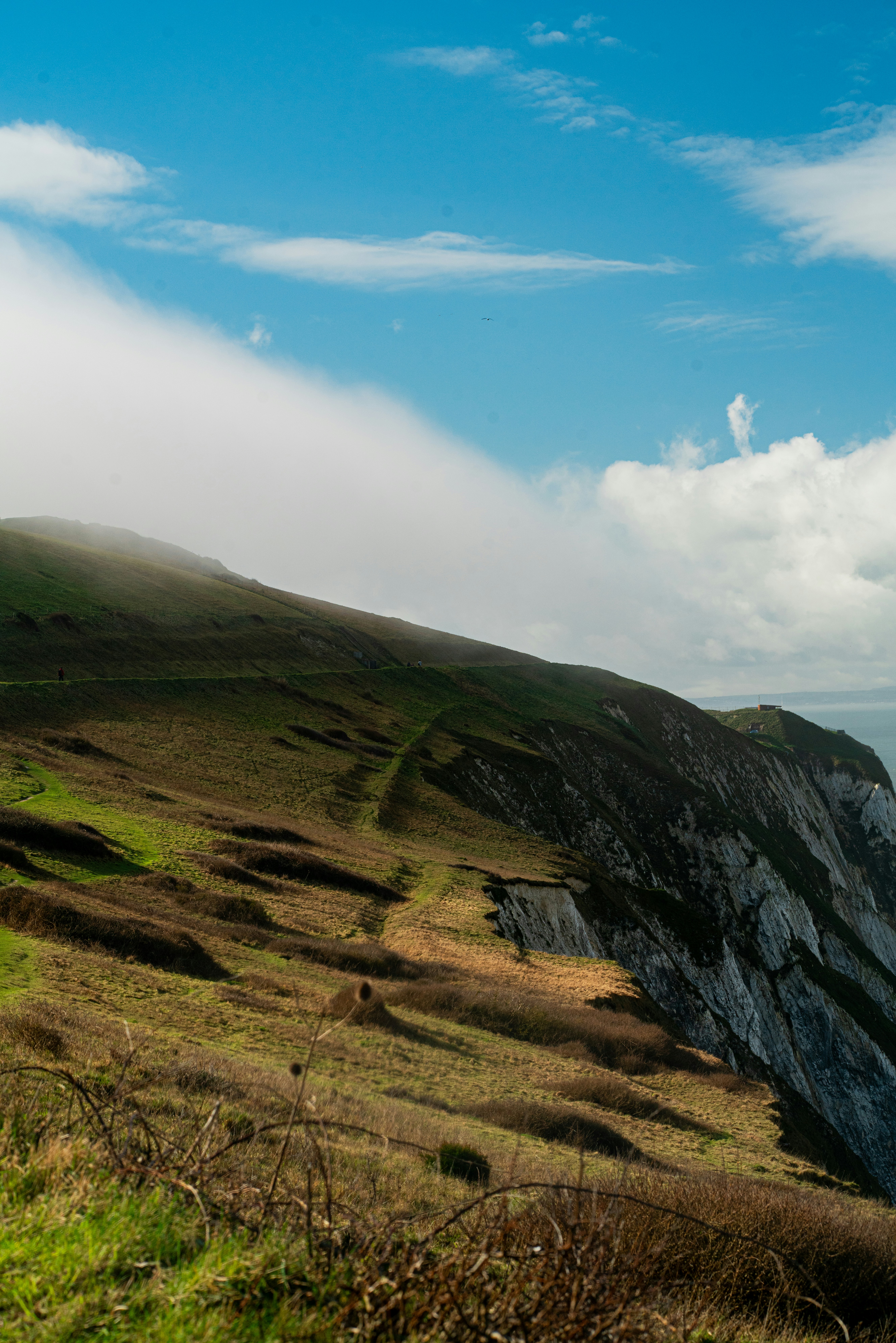 Photo by orangetiephotography