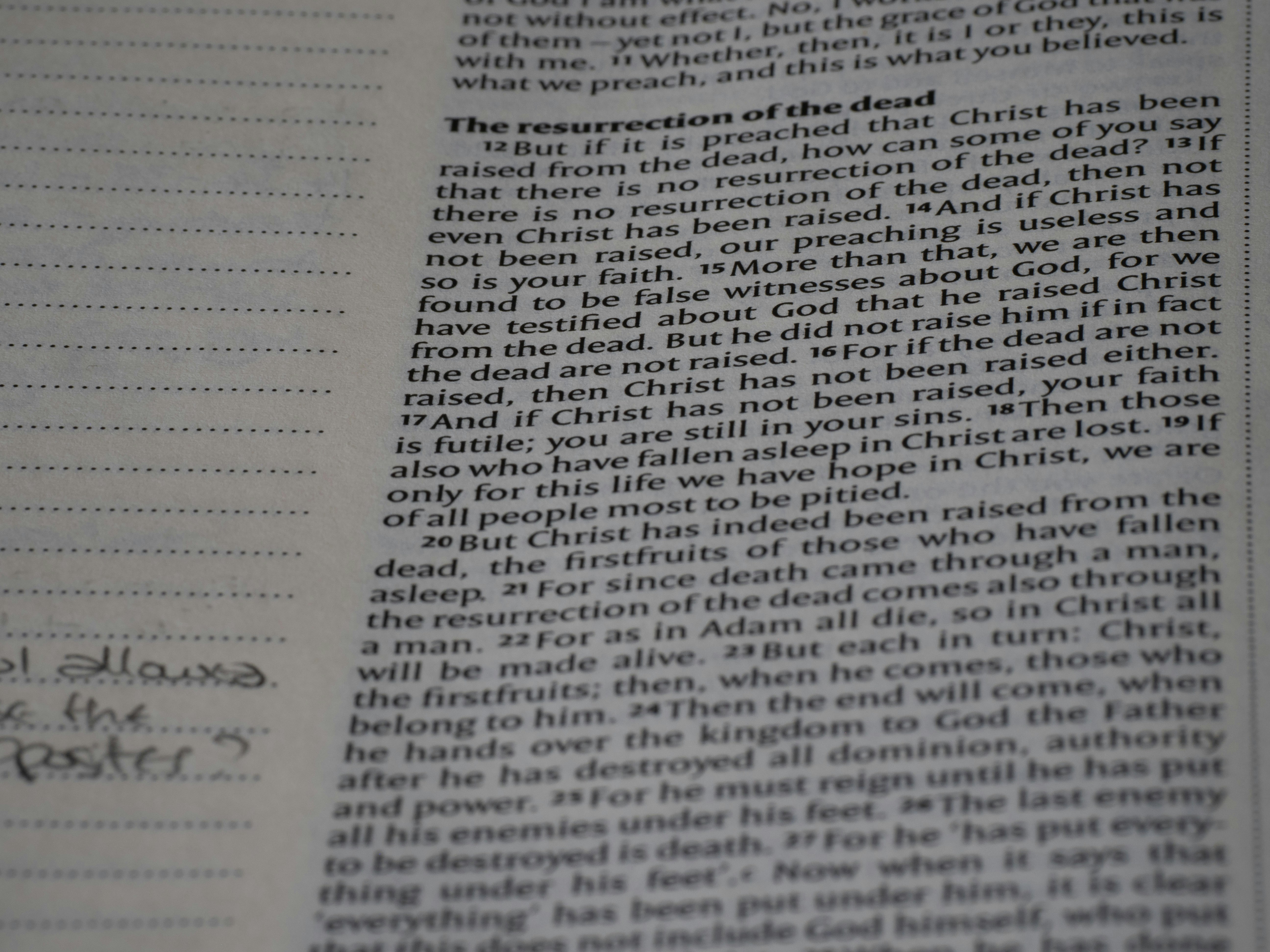 Photo by brett_jordan