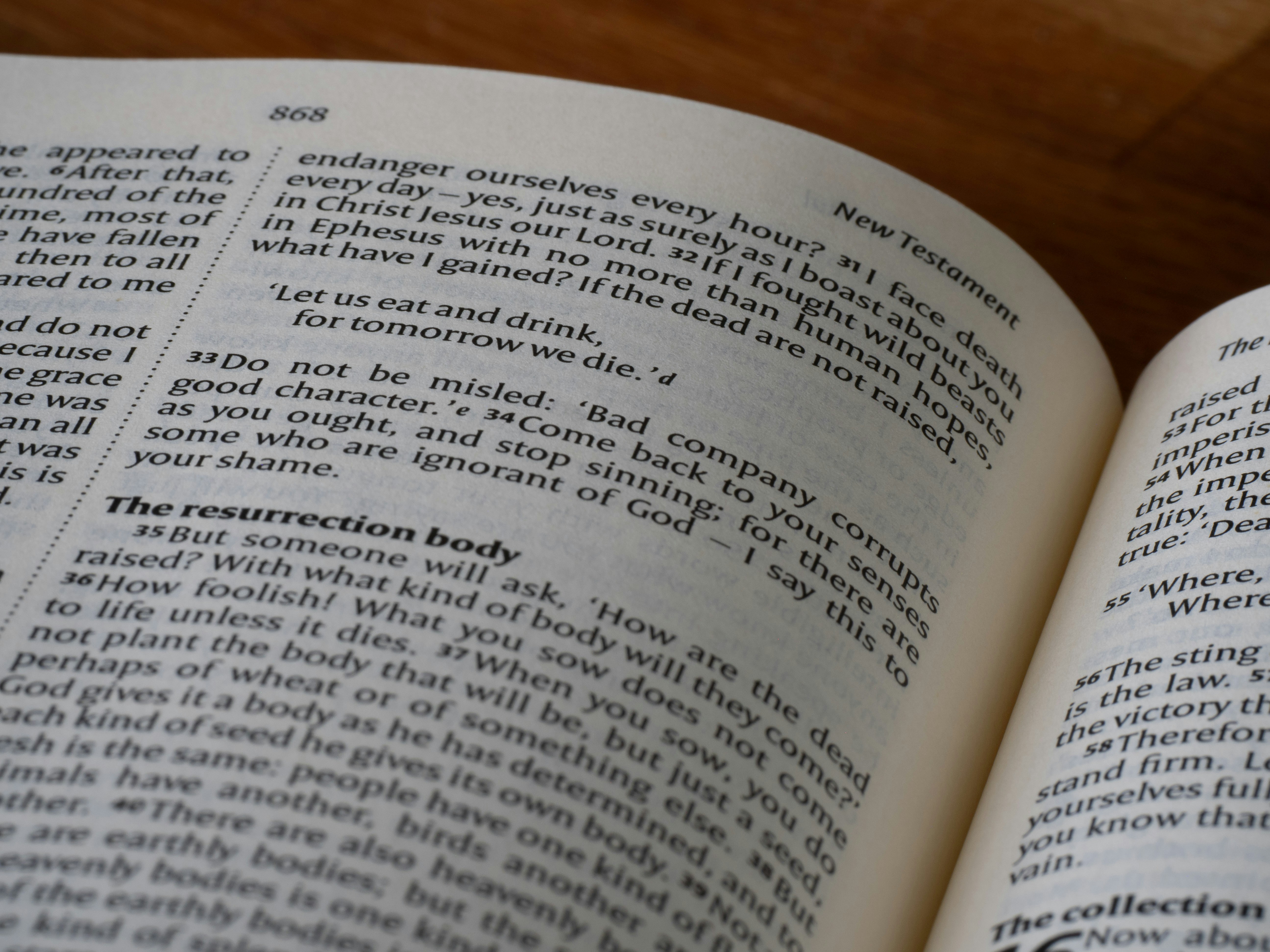 Photo by brett_jordan