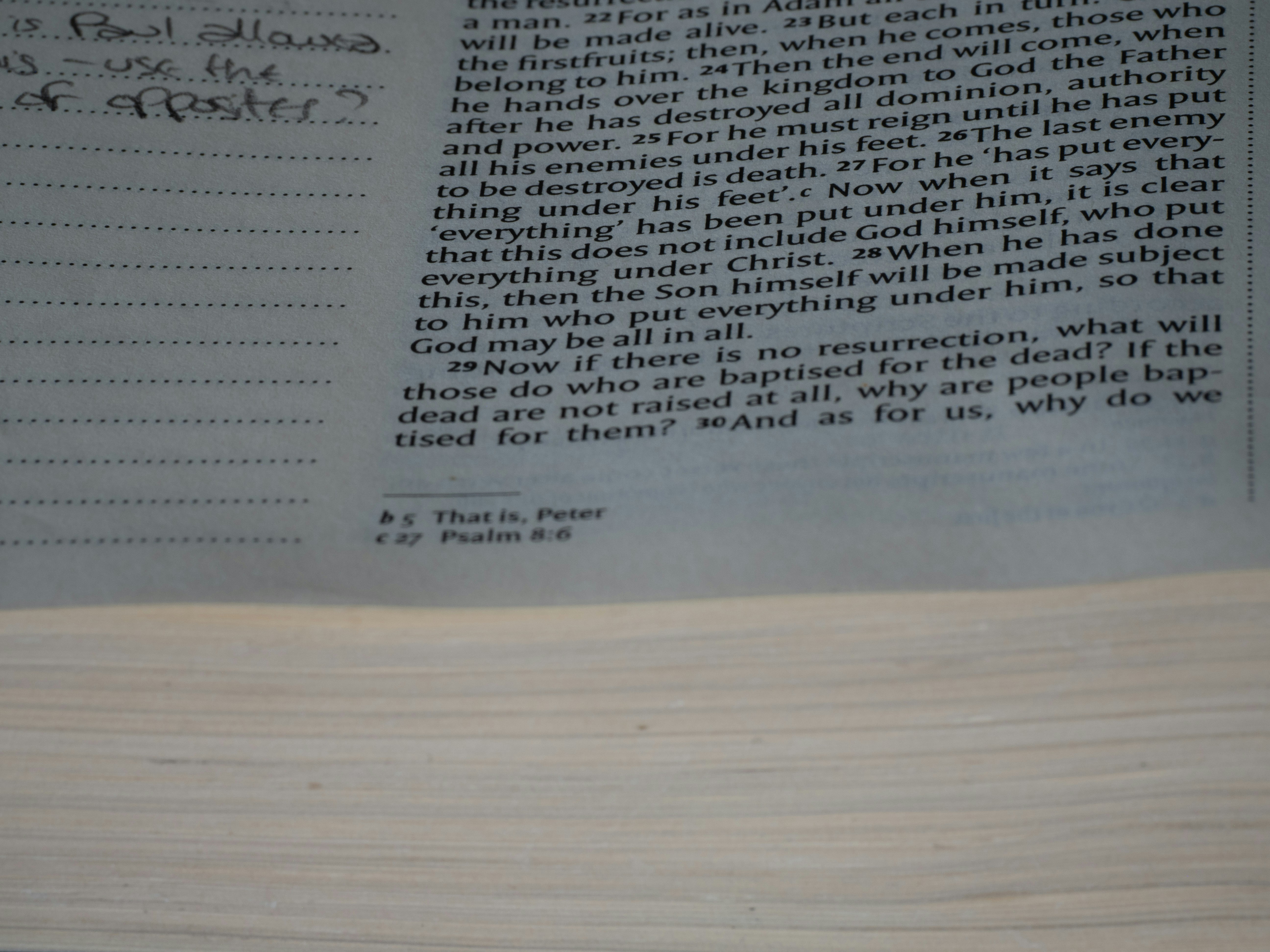 close up, bokeh, bible, new testament, christian, history, text, reading, bible study, devotions, christianity, scripture, epistle, letter, corinthians, 1 corinthians, sosthenes, spiritual gifts, love, morality, immorality, grace,