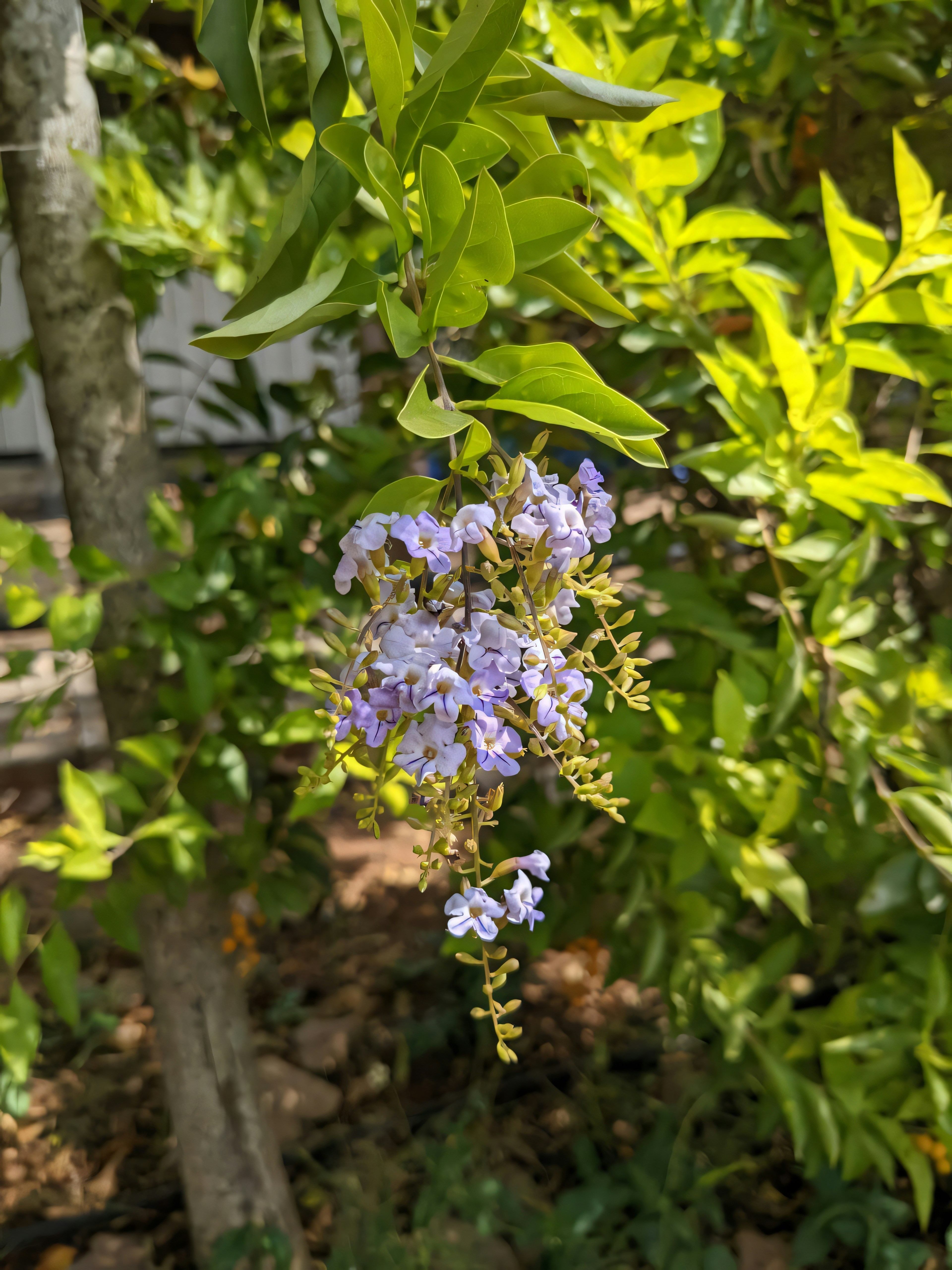 Photo by gopinath12