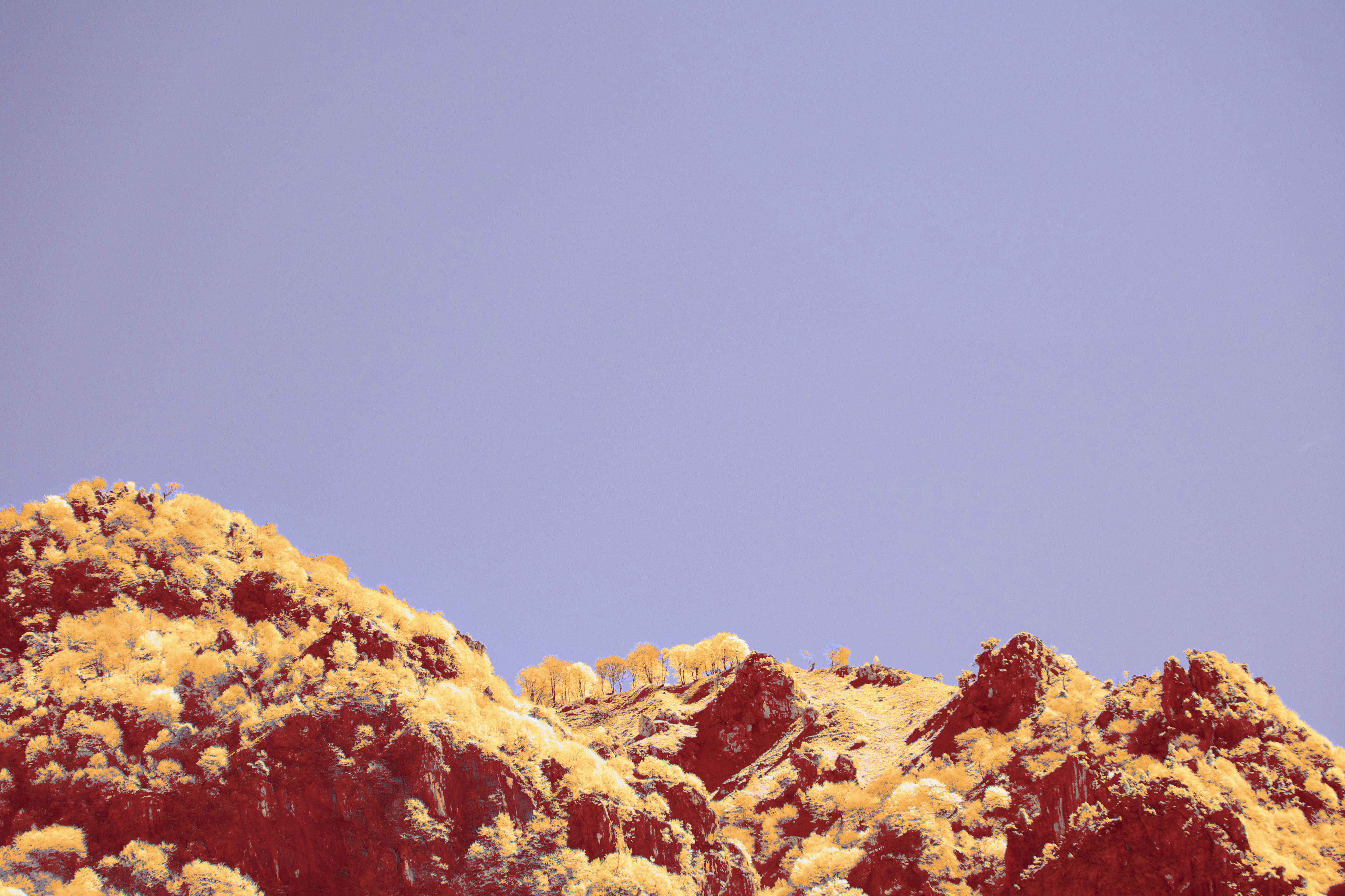 Photo by wolfgang_hasselmann