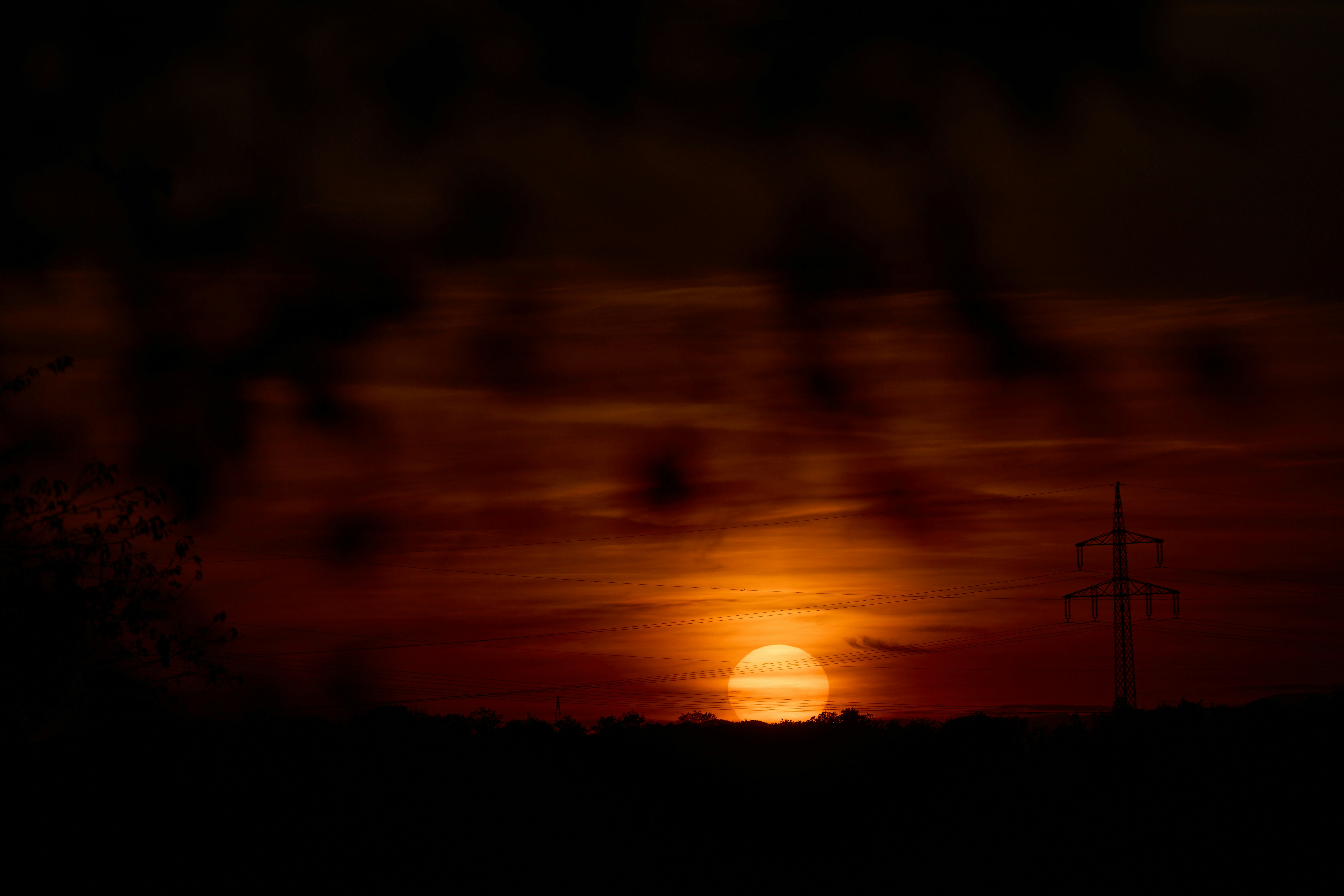 Photo by wolfgang_hasselmann