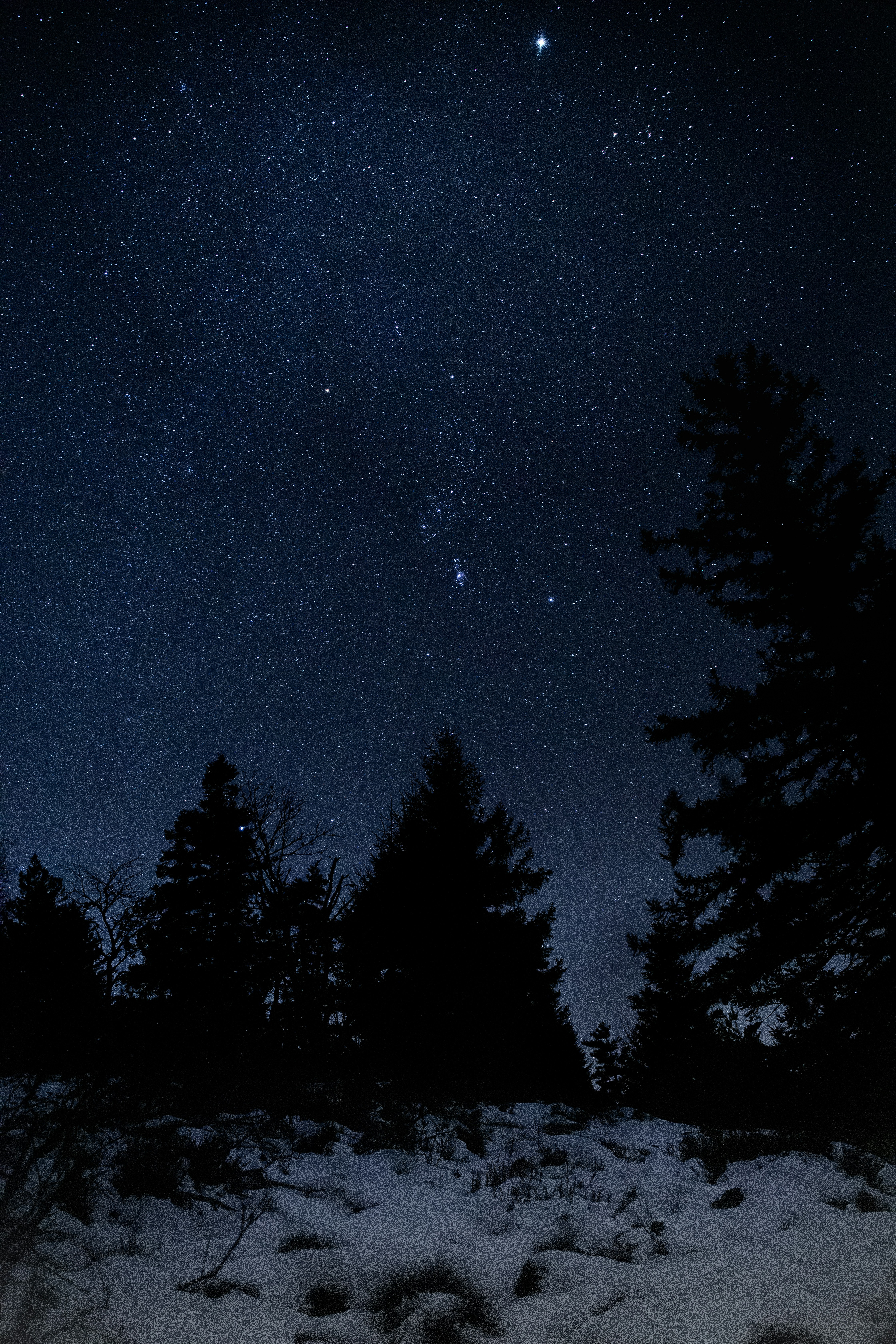 Photo by louisgaudiau