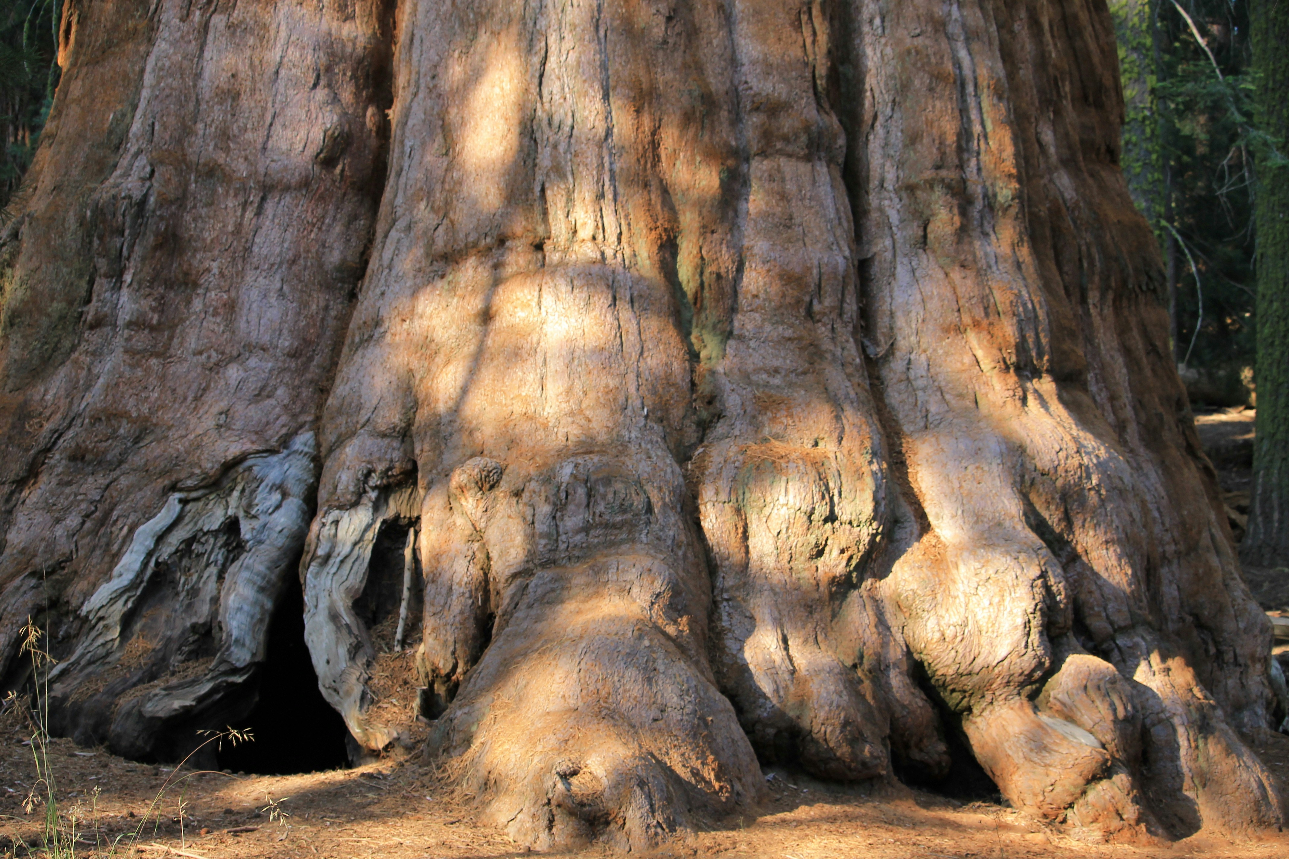 Photo by martinachitarrini