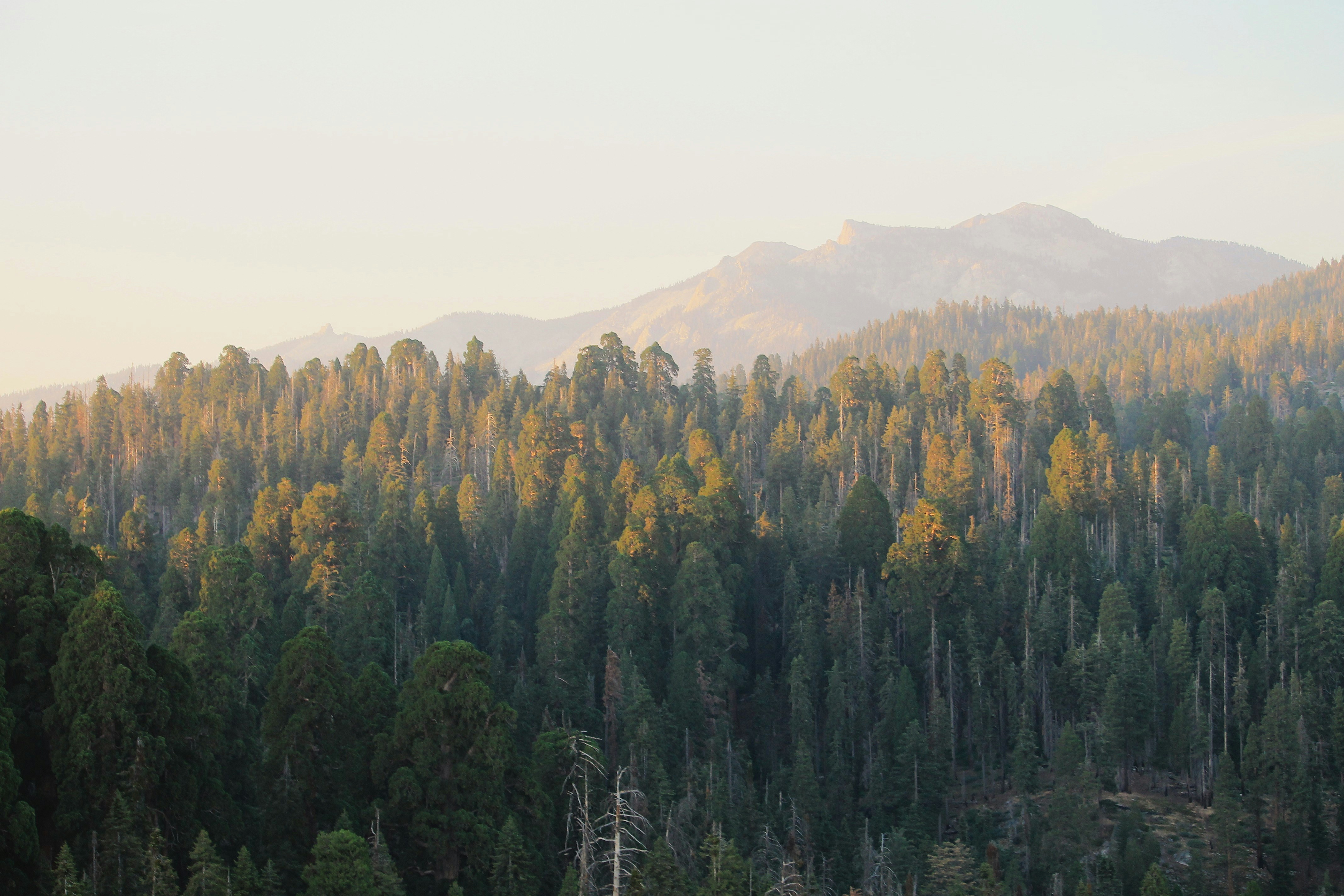 Photo by martinachitarrini