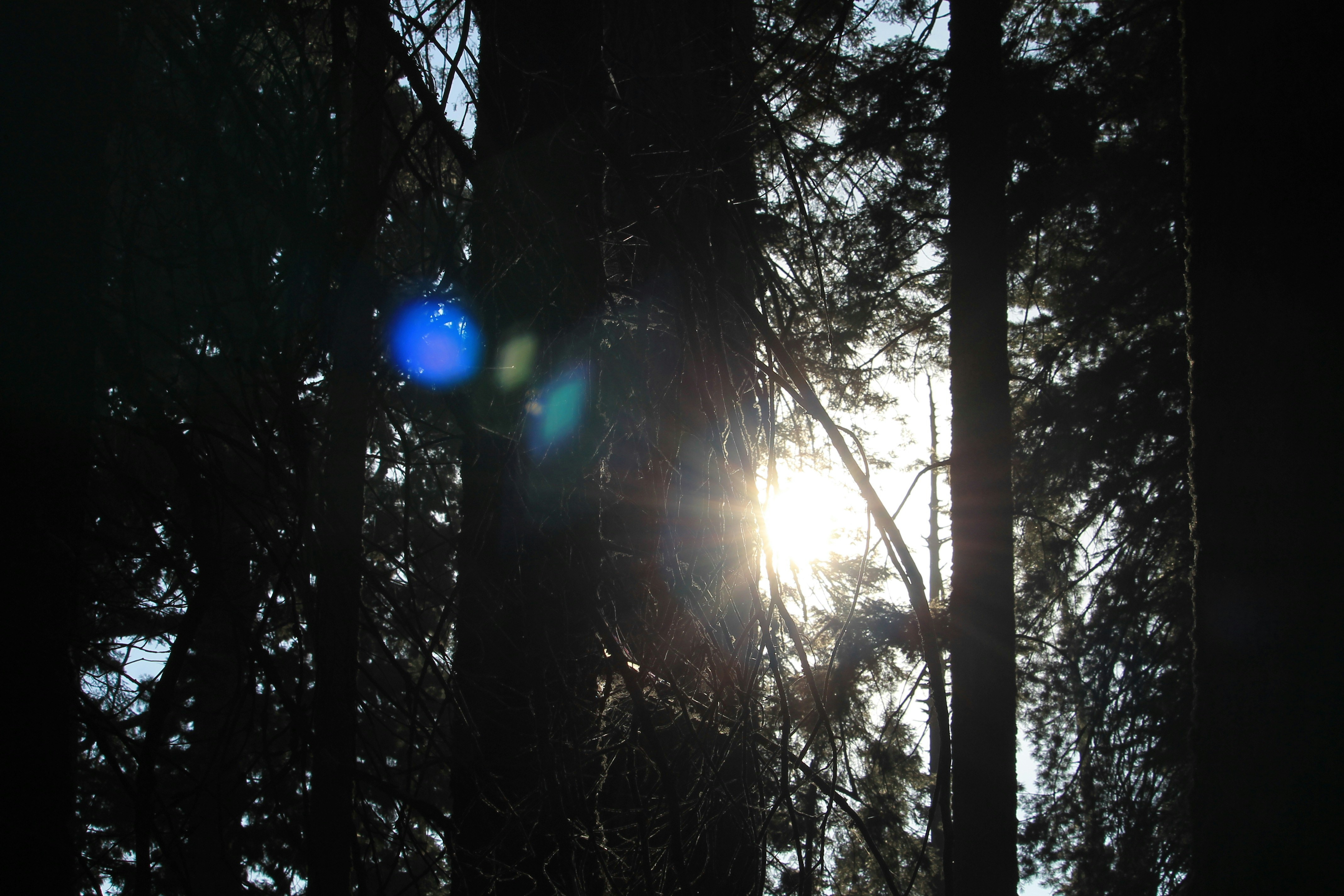 Photo by martinachitarrini