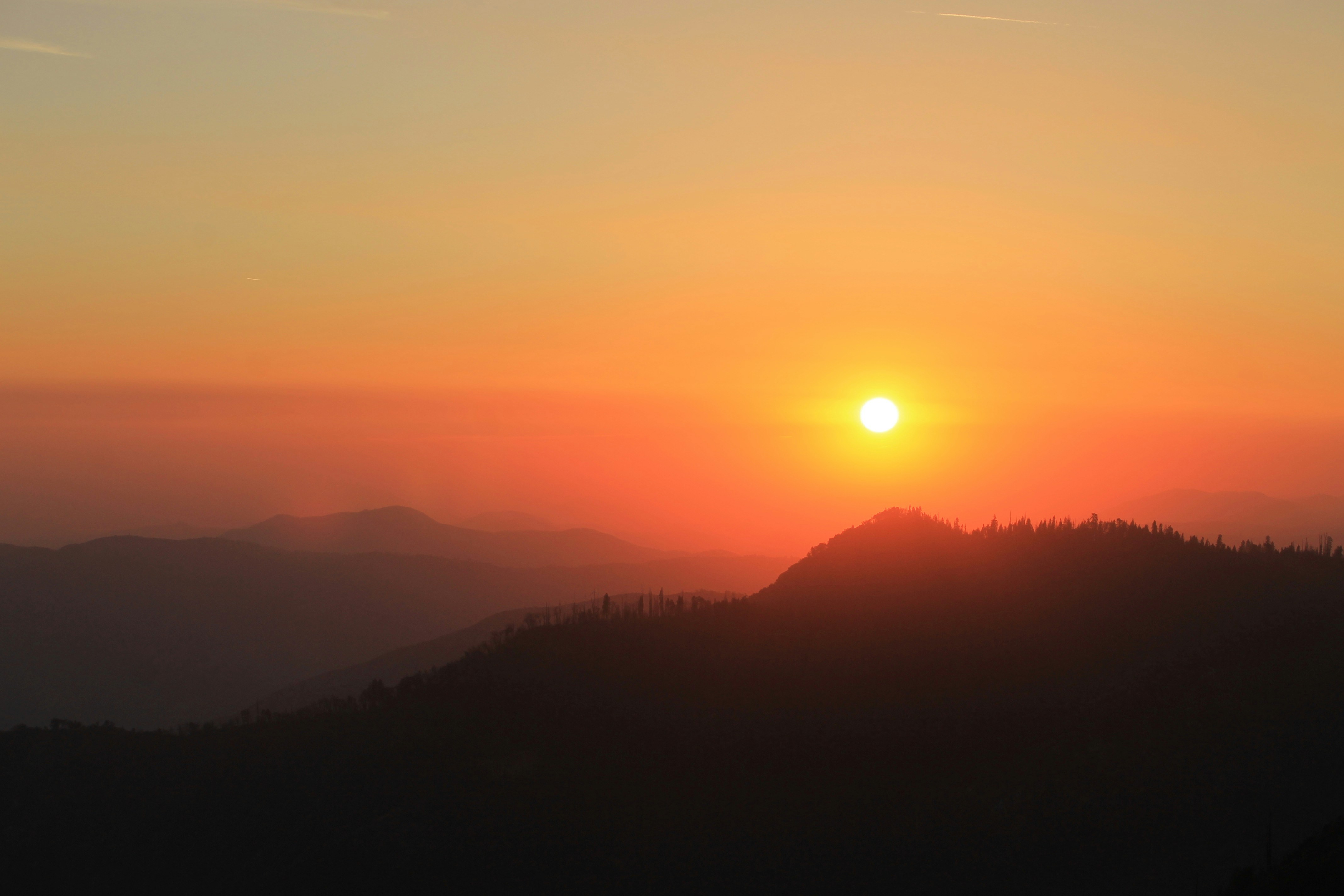 Photo by martinachitarrini