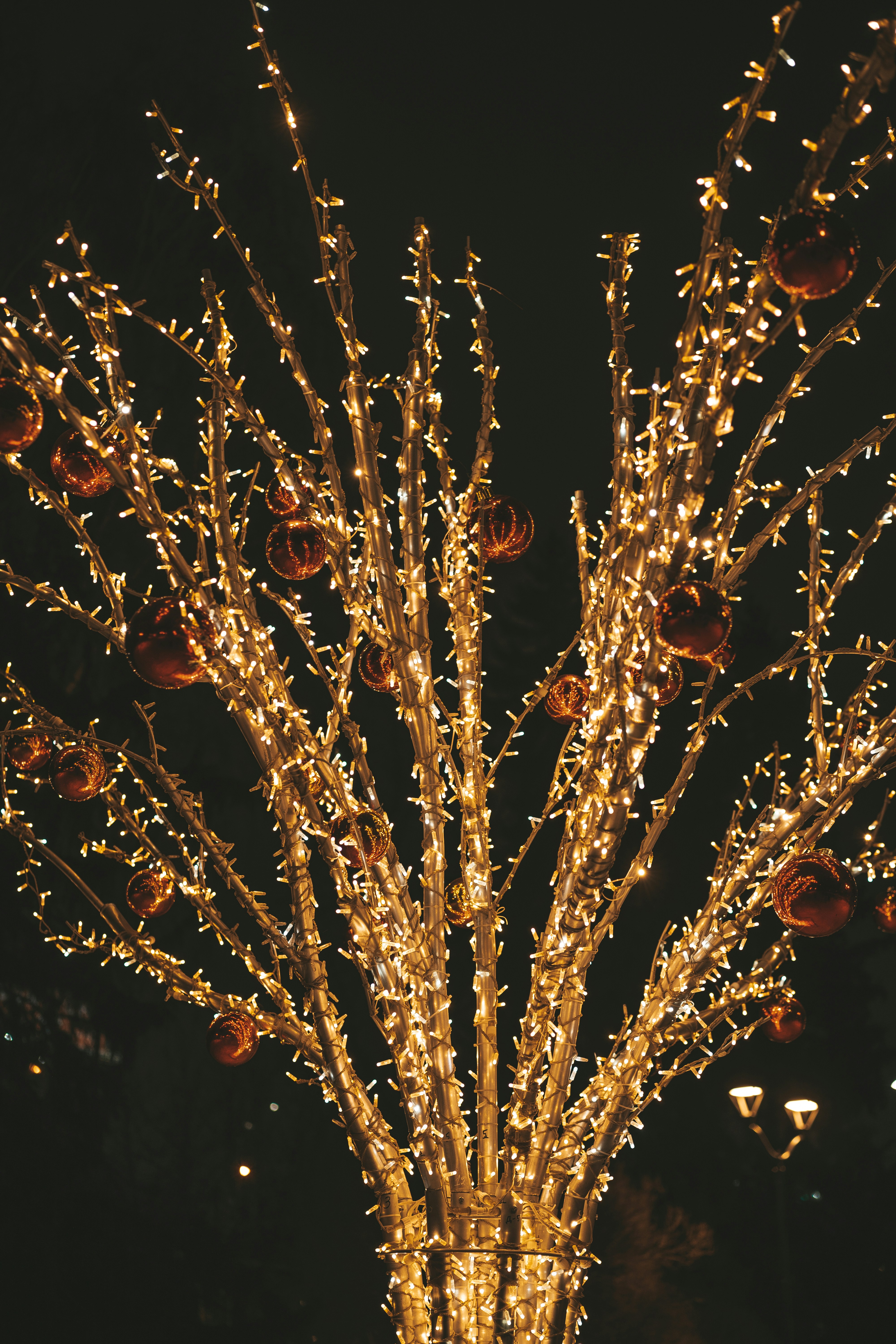 Photo by anamnesis33