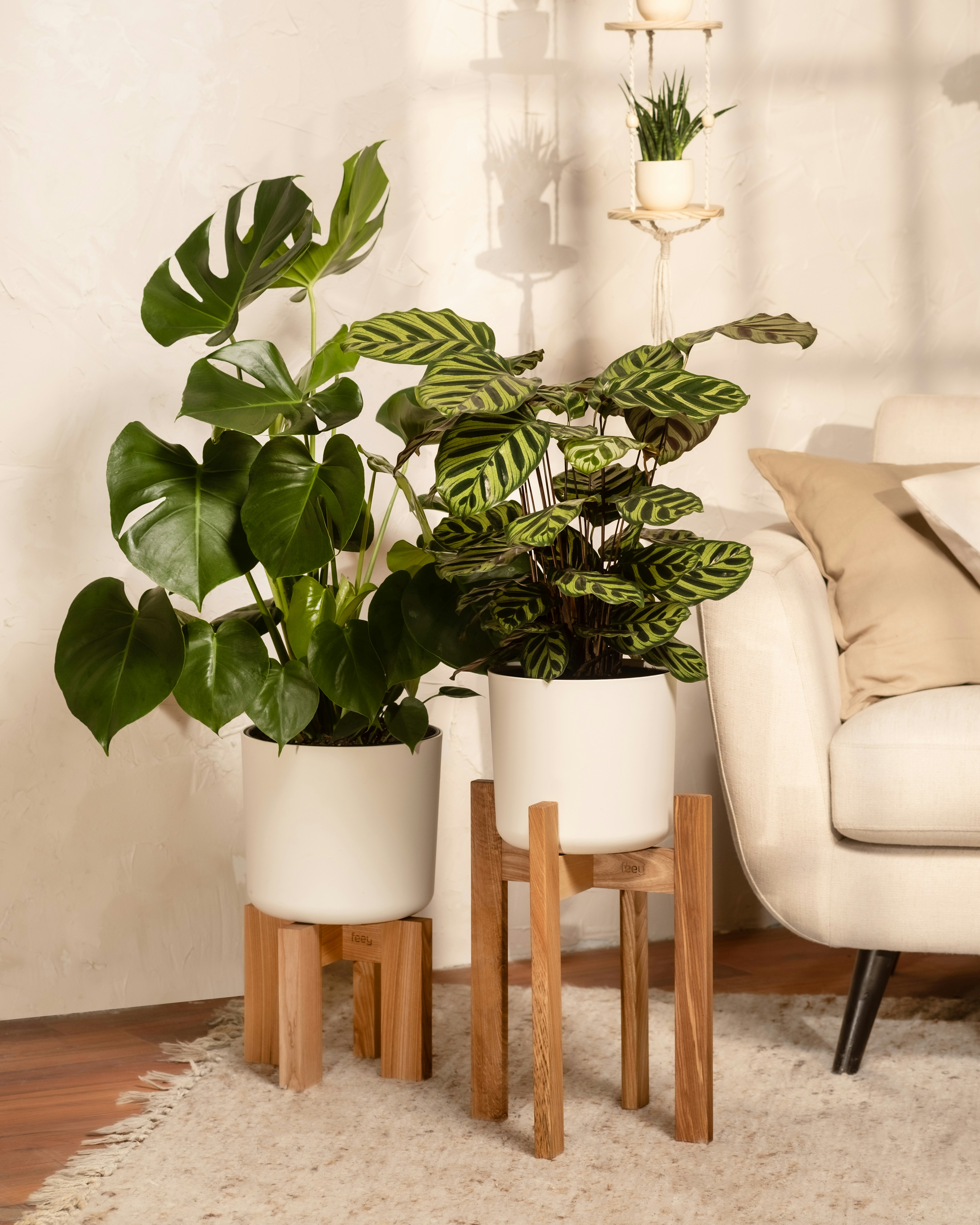 Photo by feeypflanzen