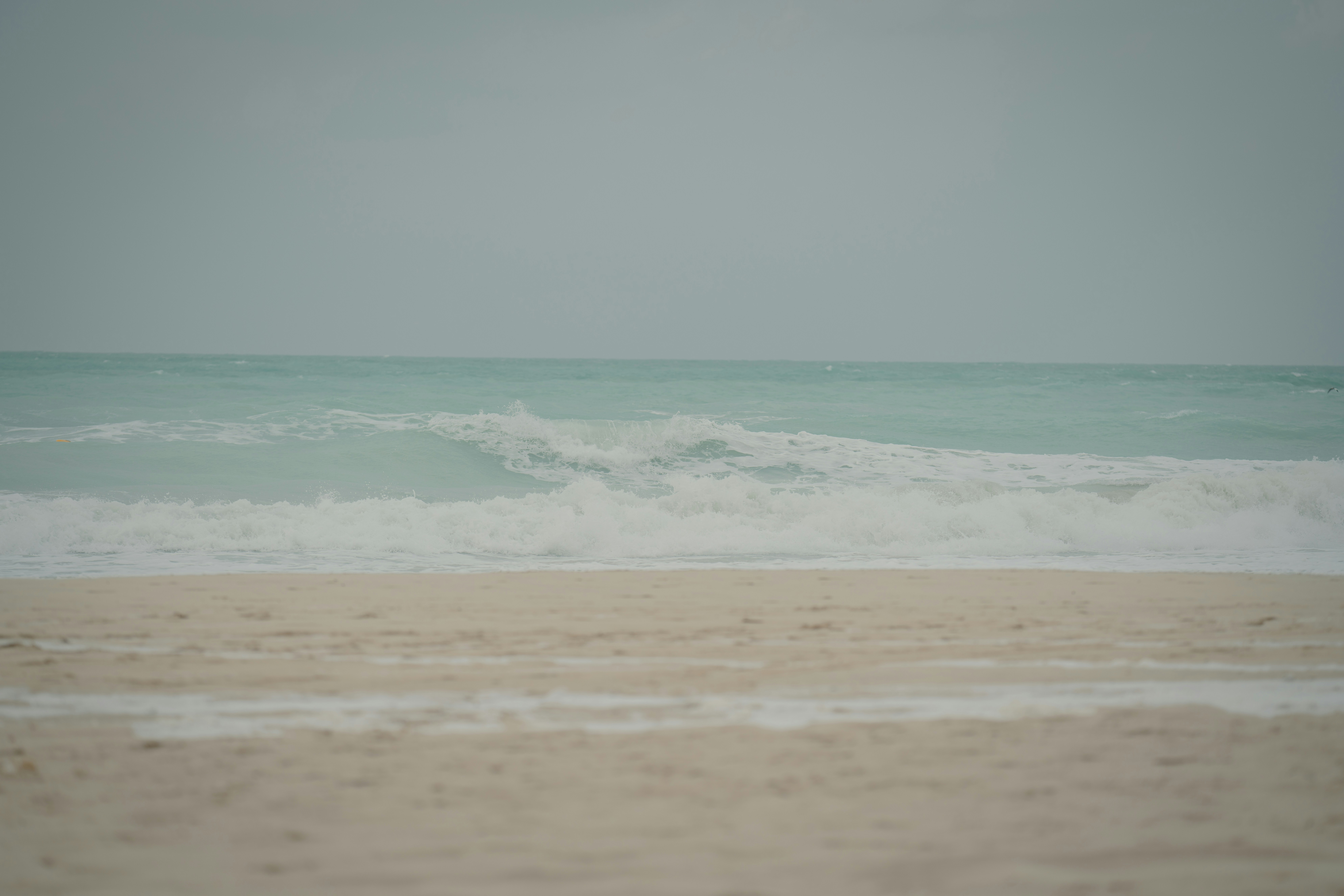 Photo by viditgoswami