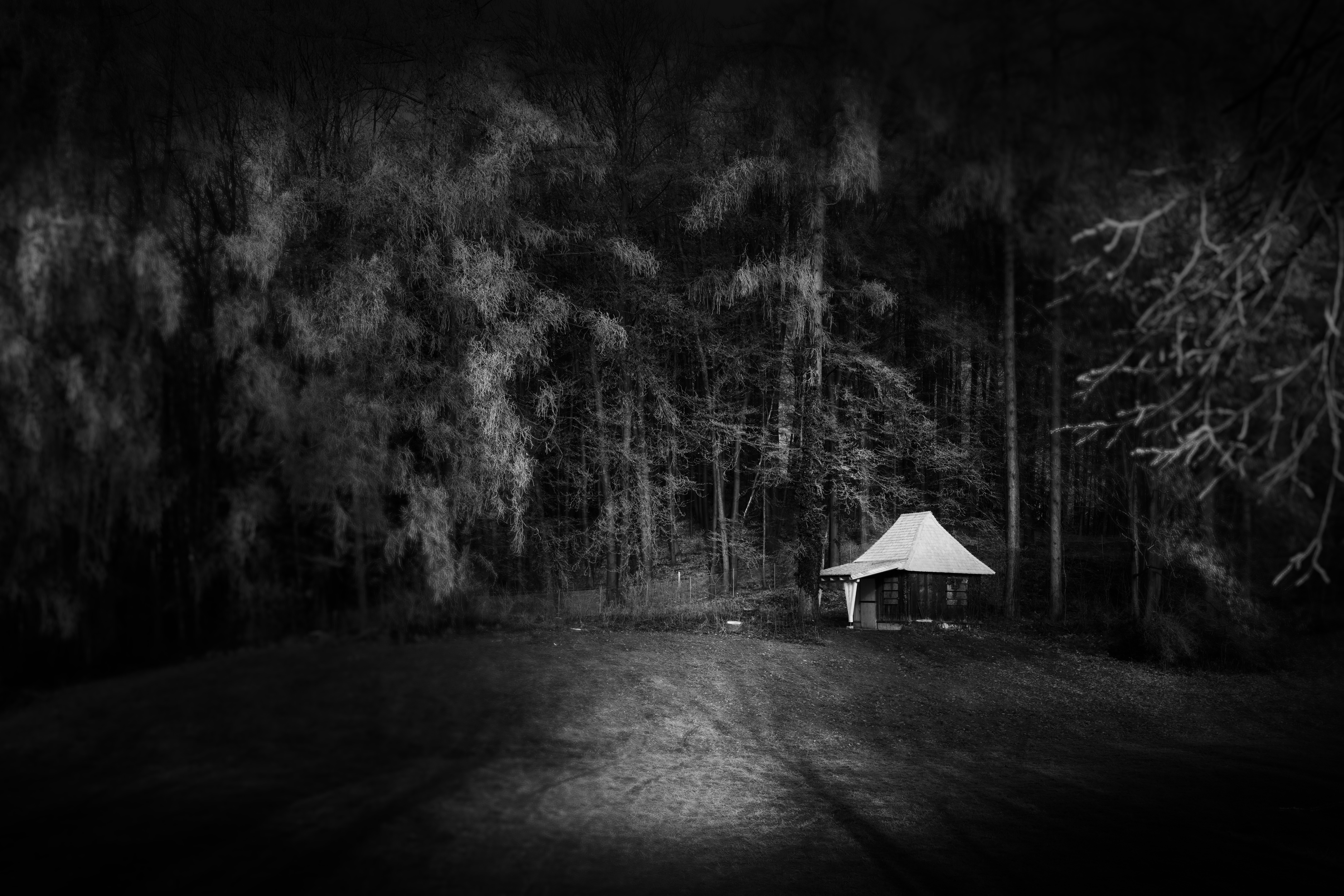 Photo by simon_berger